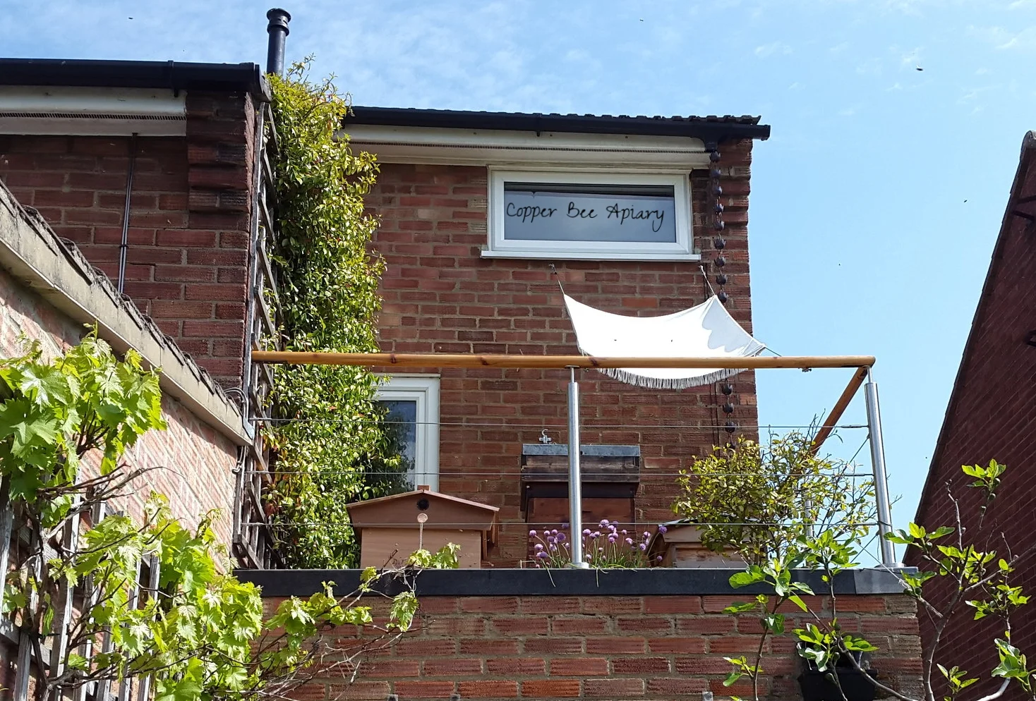 Gin terrace with sun shade Hives (left to right): Disc Hive, Smith Hive, Cedar Hive