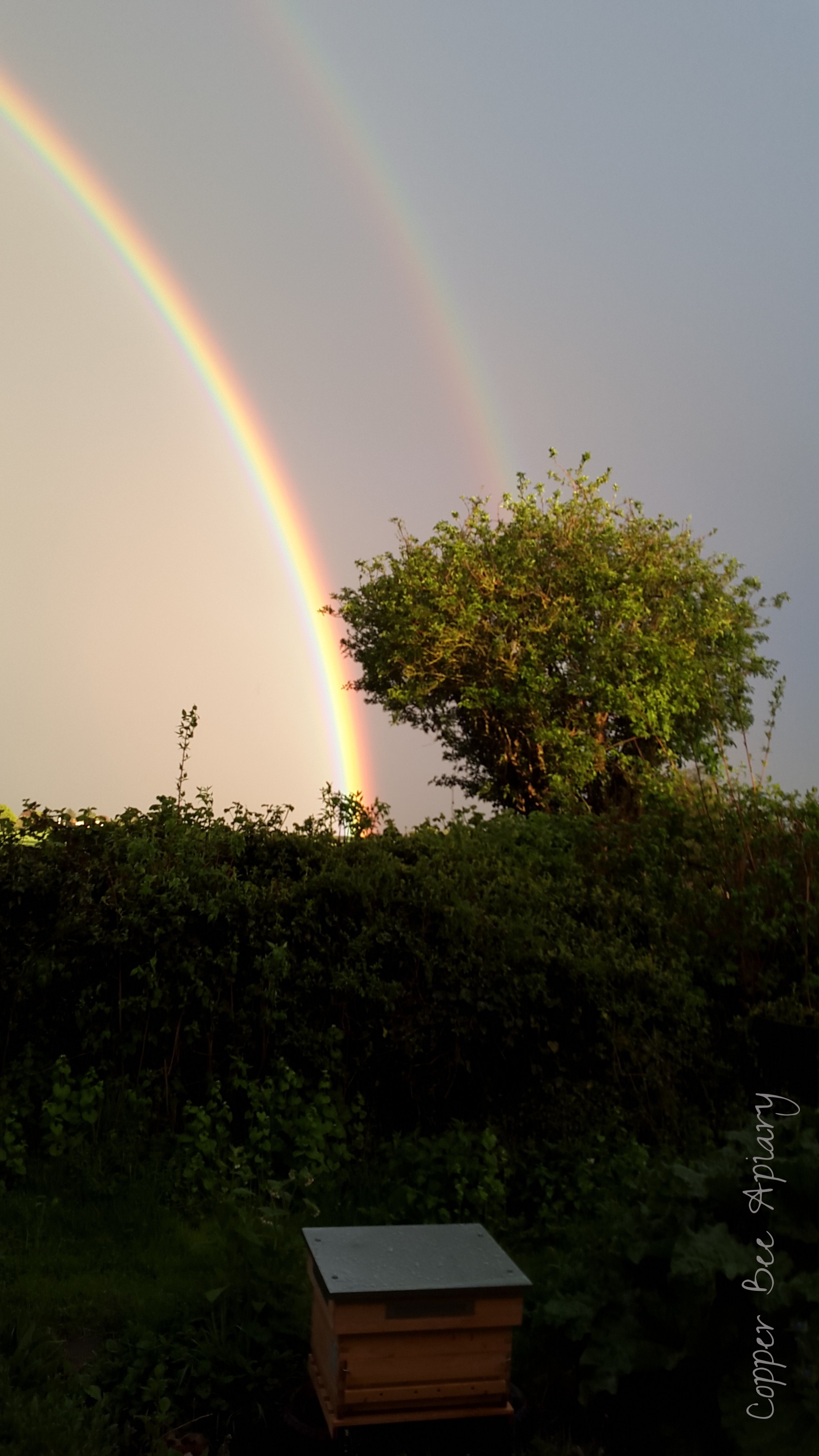 The beehive at the end of the rainbow