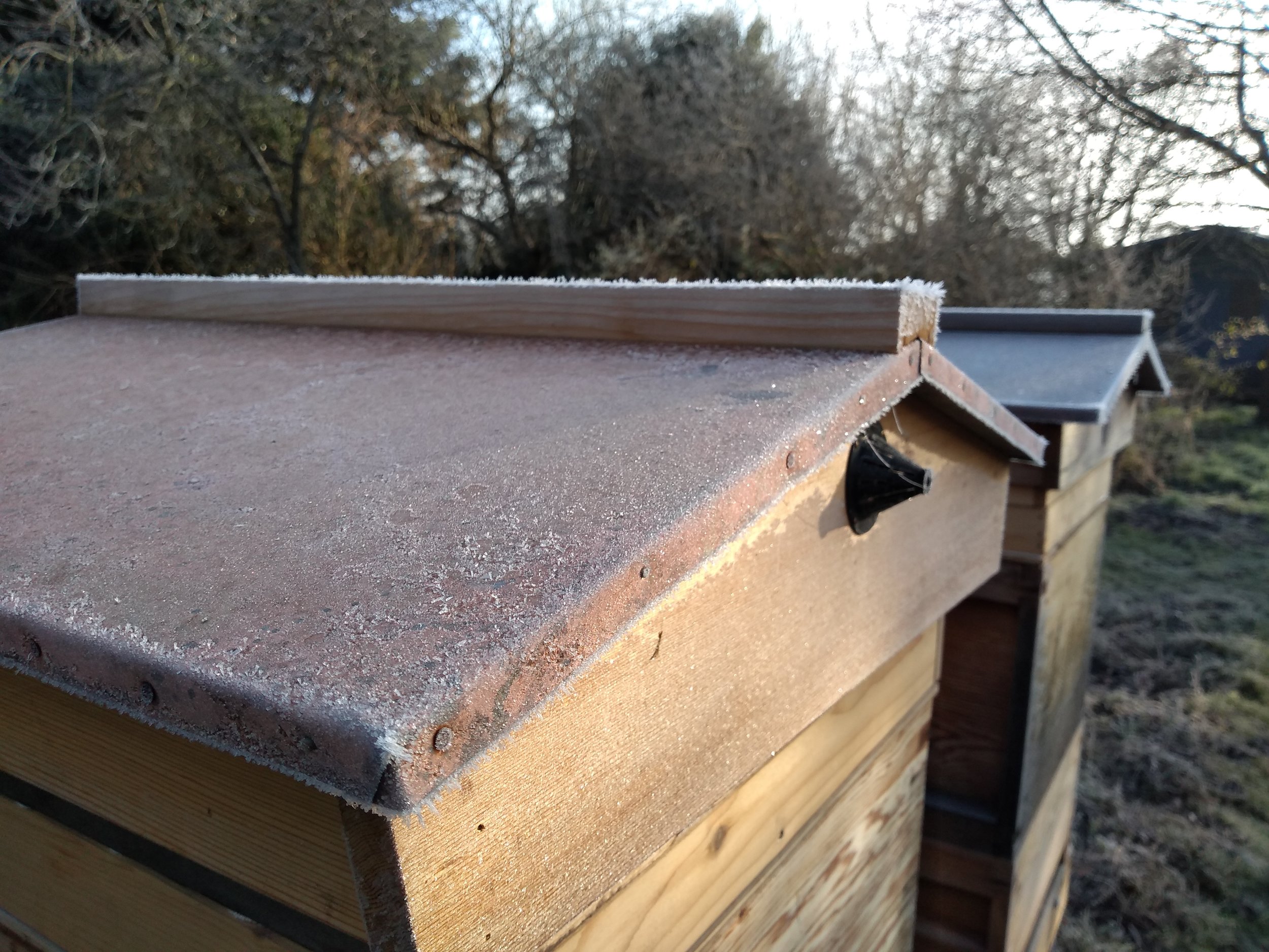 Frosty hive rooves