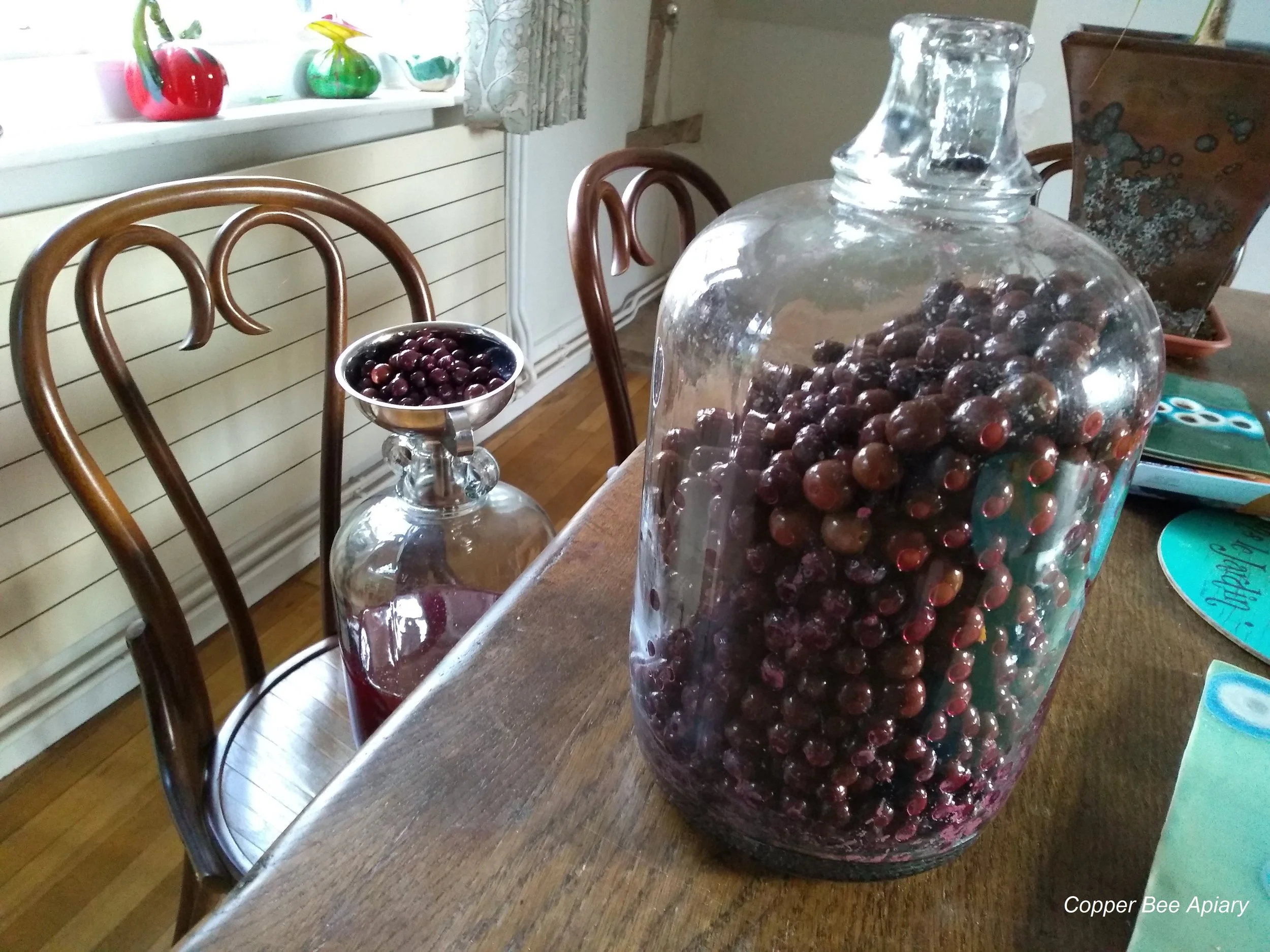 Sloes (and bullace)