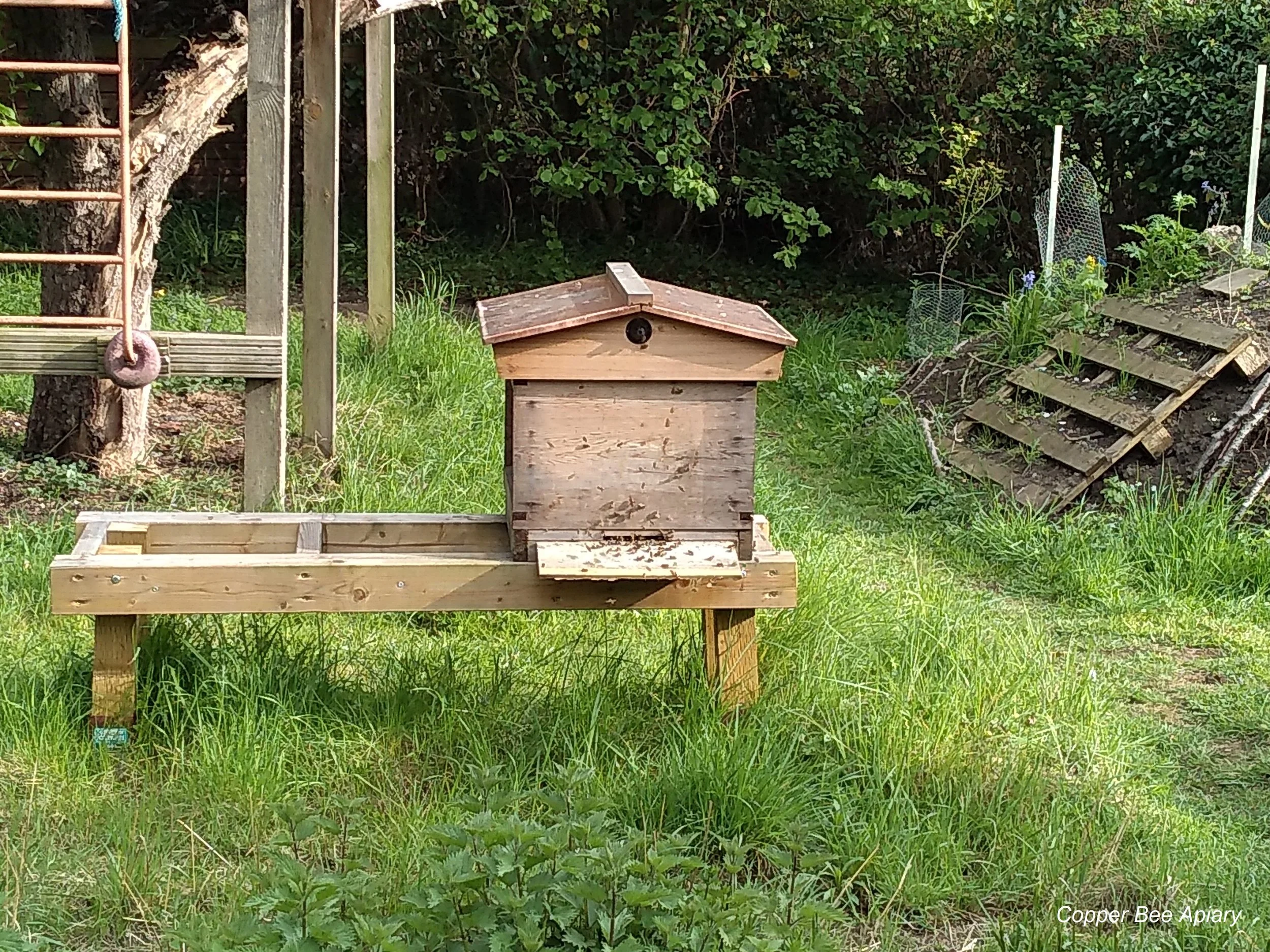 6 May 2019. Queen Mab’s colony before destruction