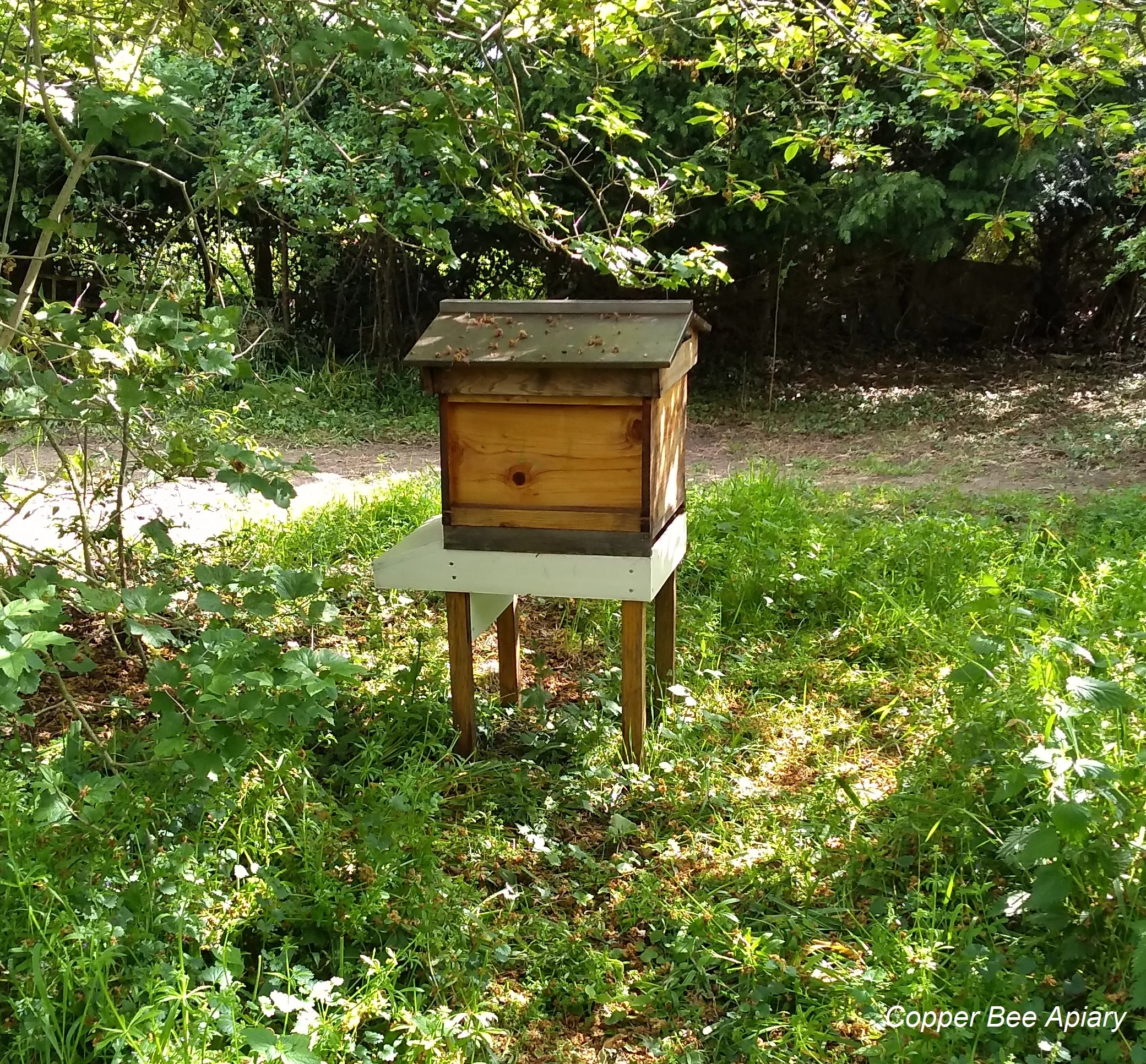 Queen Uma’s hive by daylight