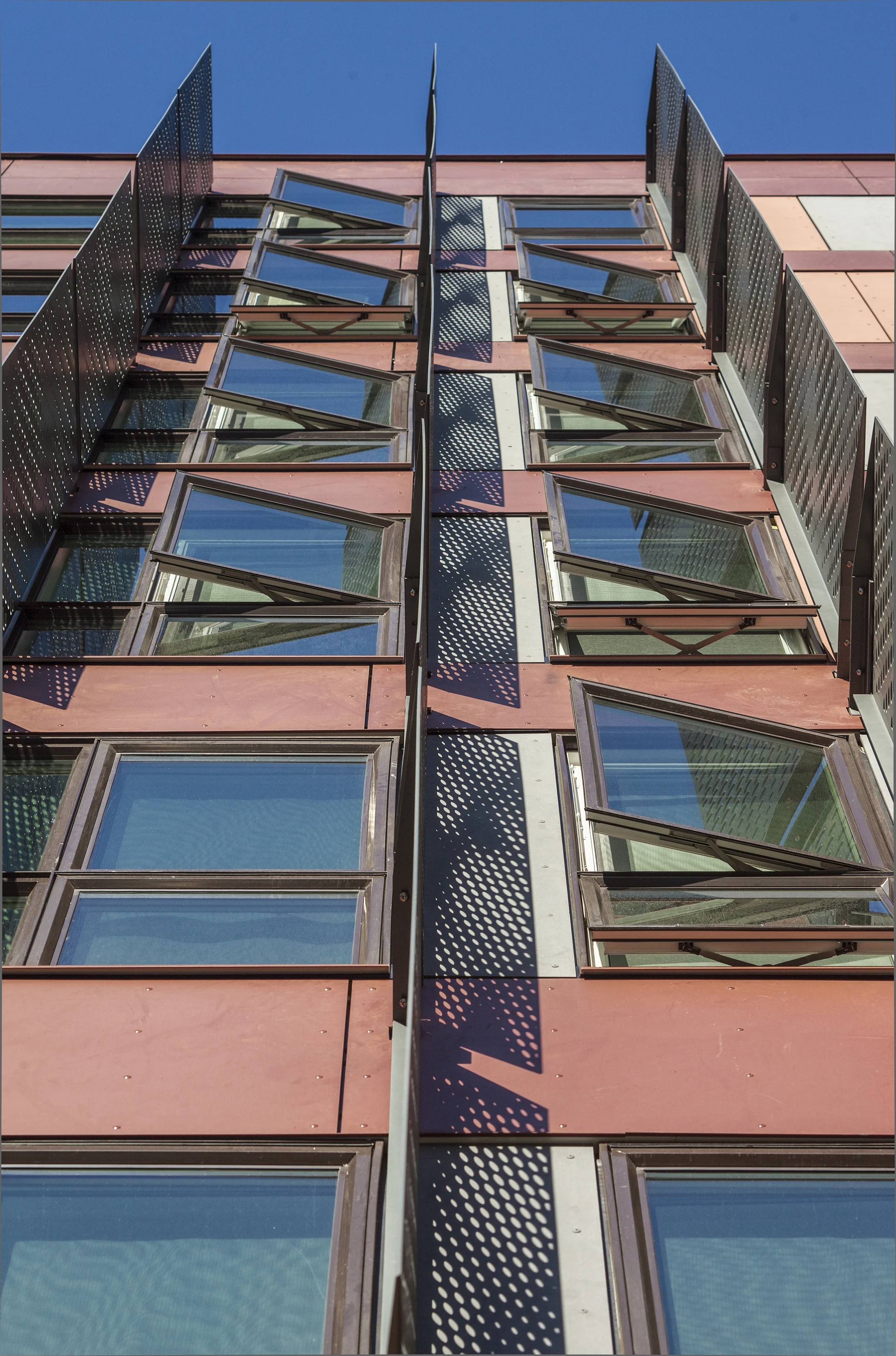 Pine + Minor Perkins + Will Architects
