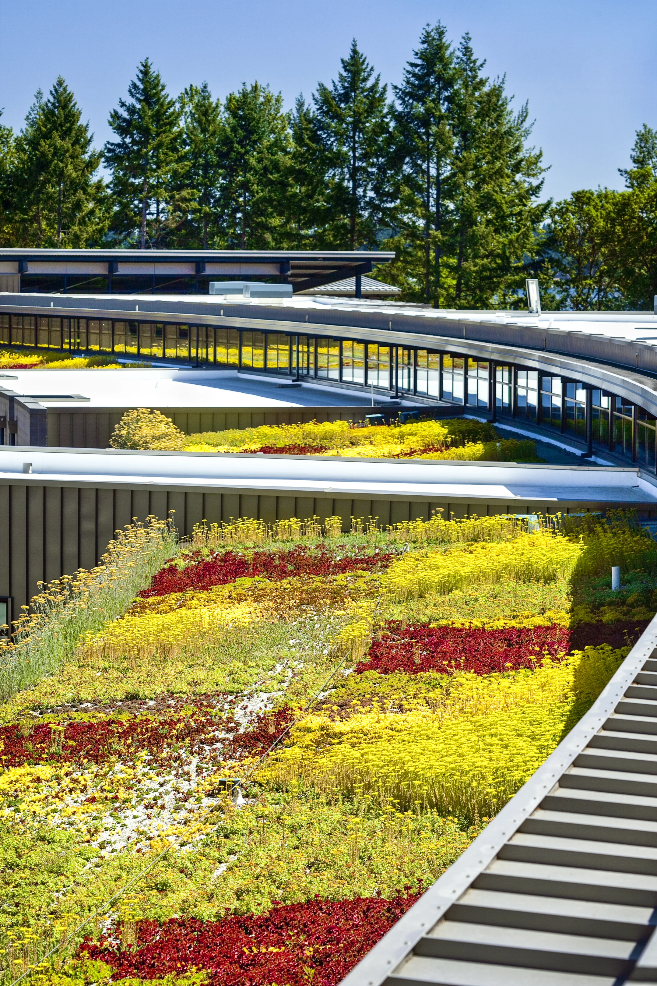 American Lake VA Hospital Rehabilitation Center TCF Architecture