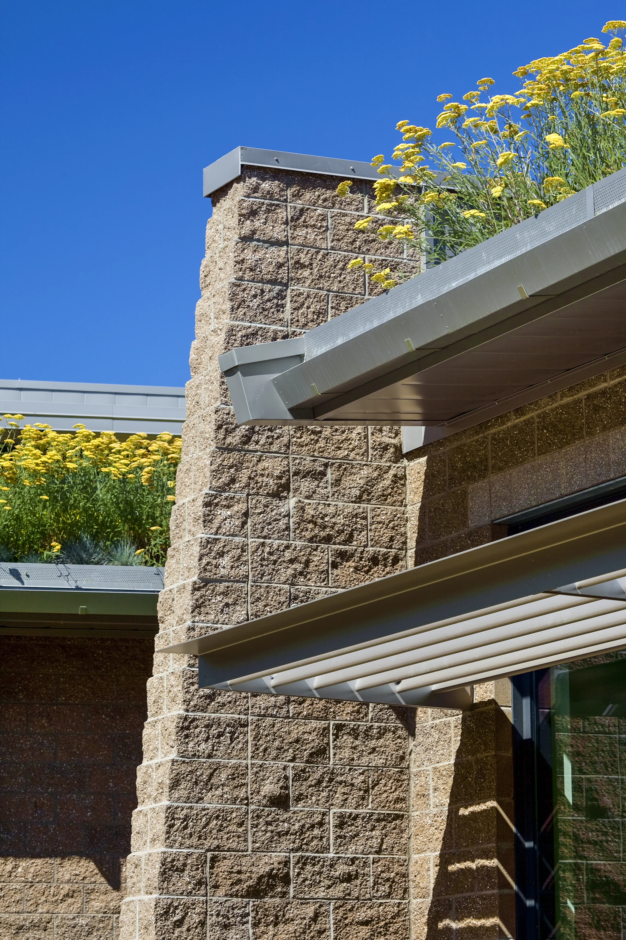 American Lake VA Hospital Rehabilitation Center TCF Architecture