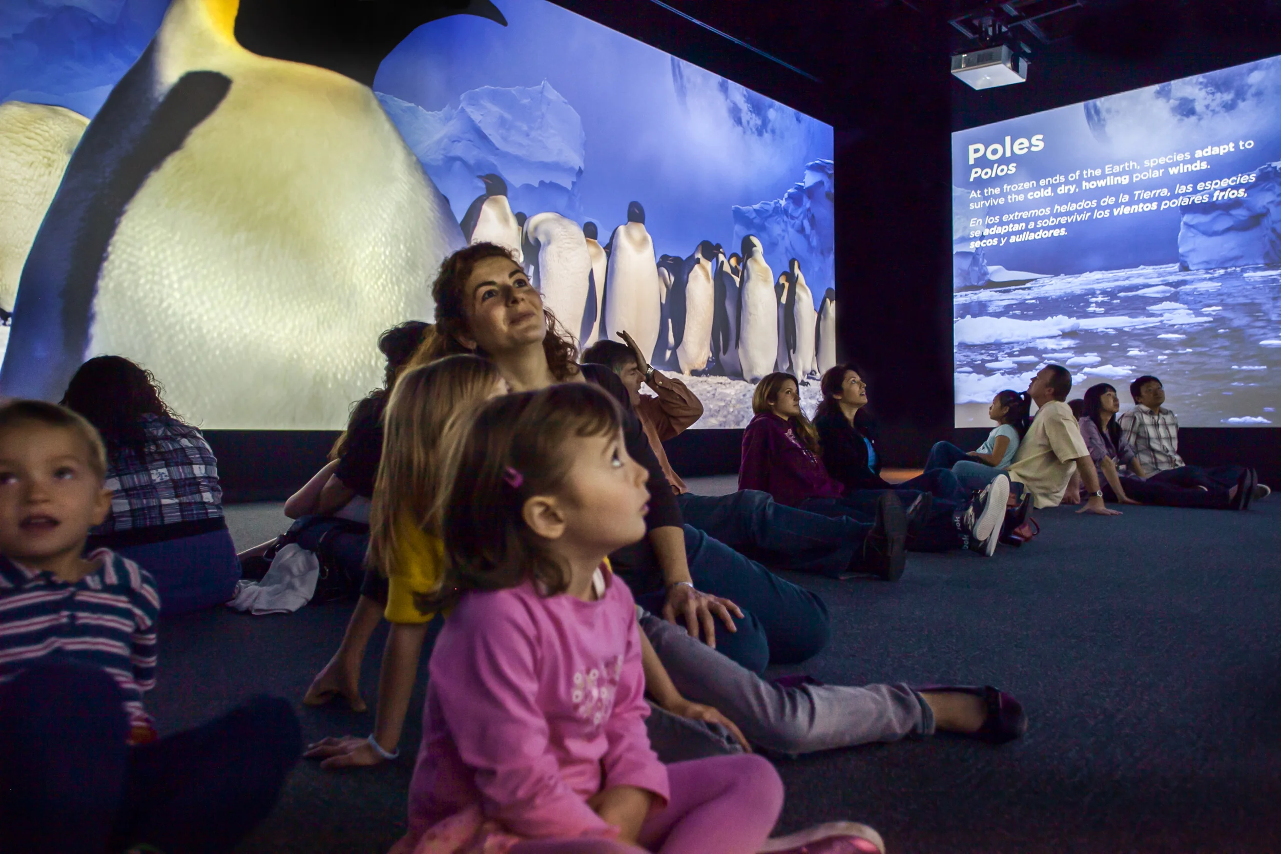 California Science Center ZGF 