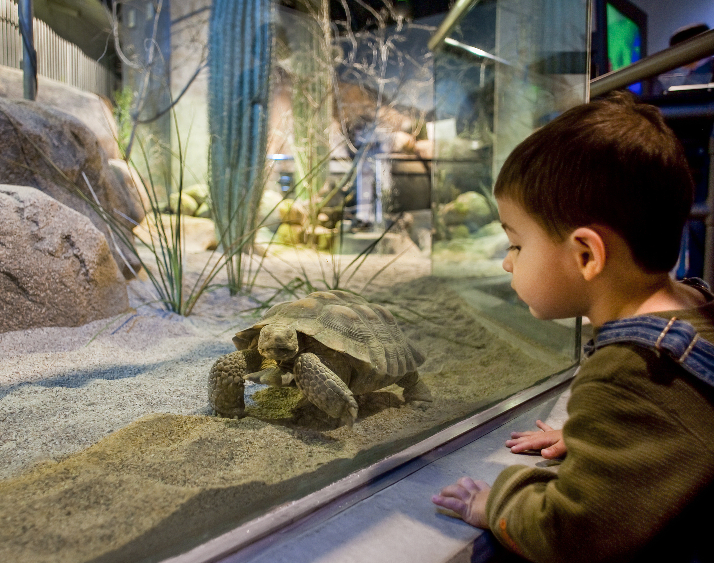  California Science Center  ZGF&nbsp; 