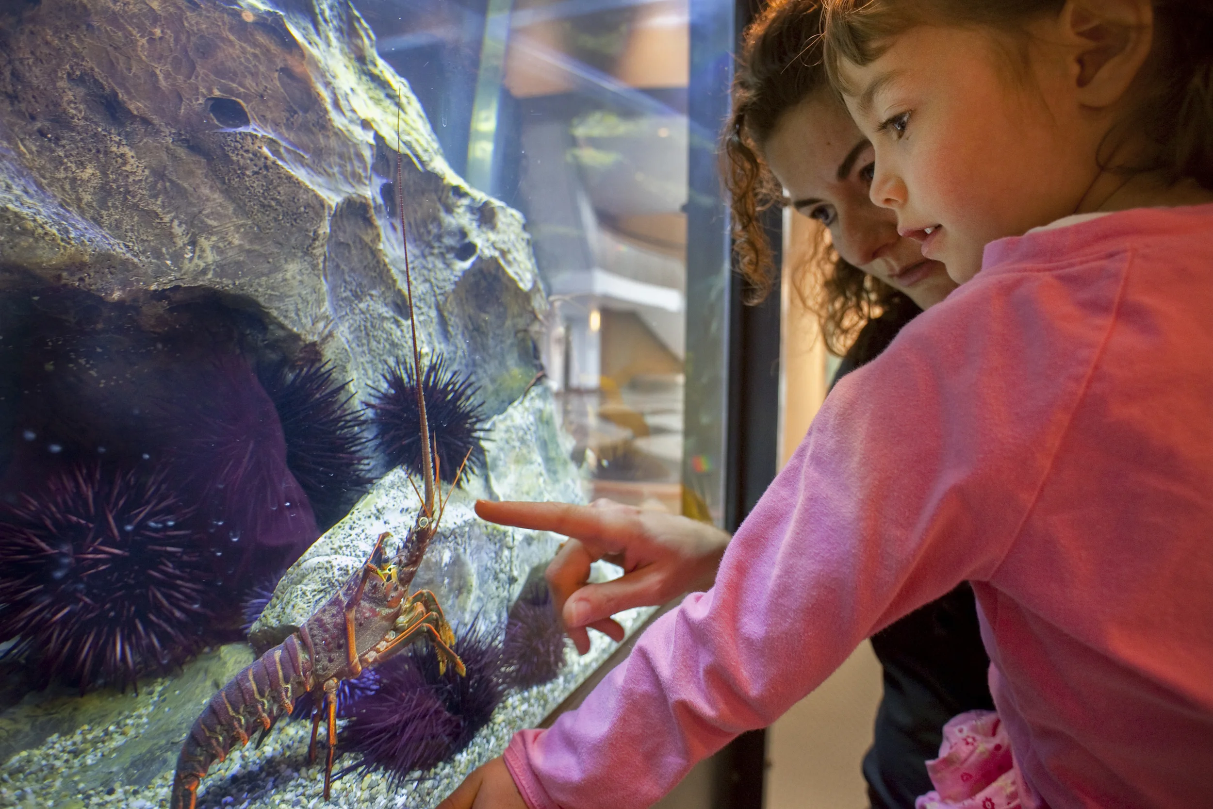 California Science Center ZGF 