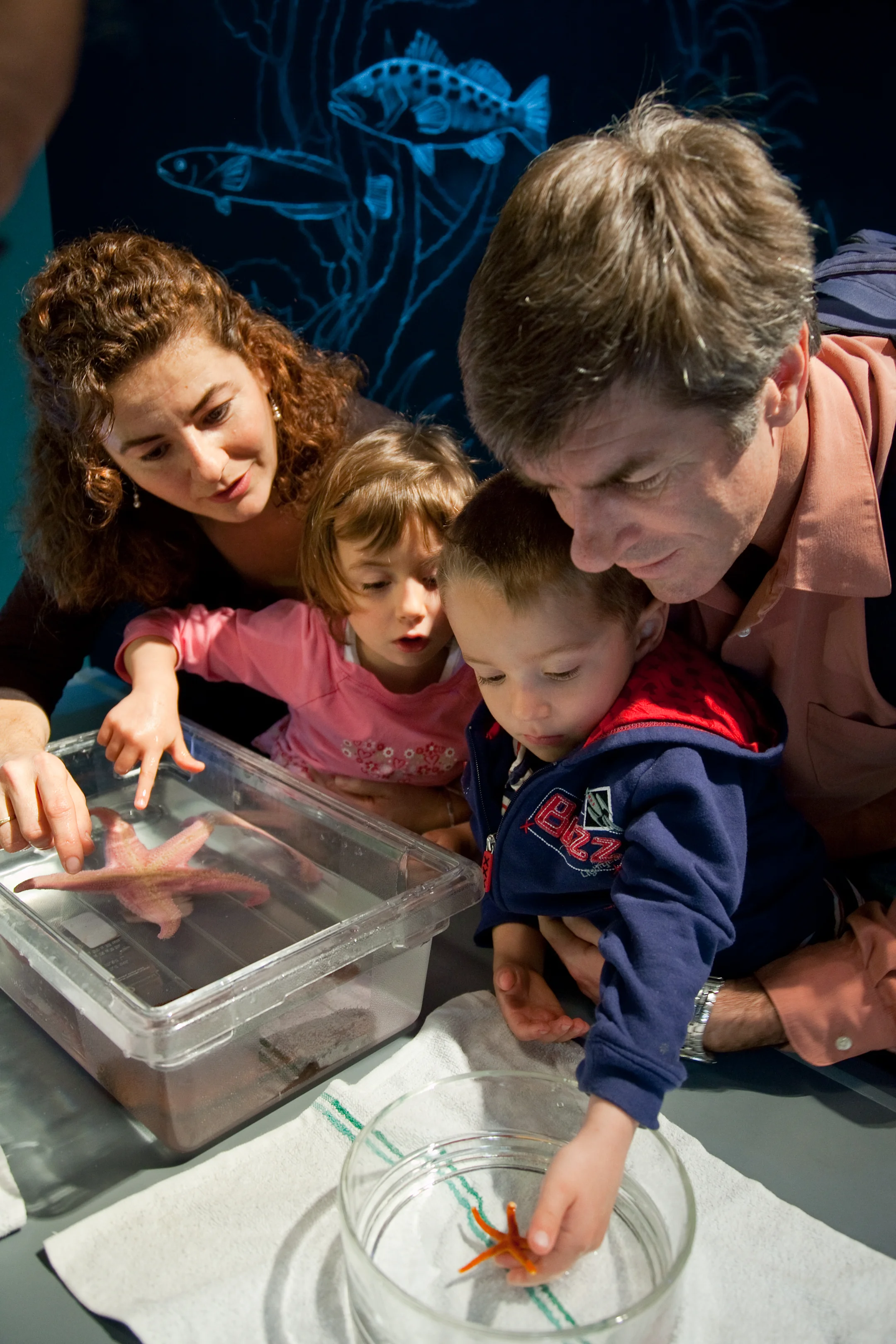 California Science Center ZGF 