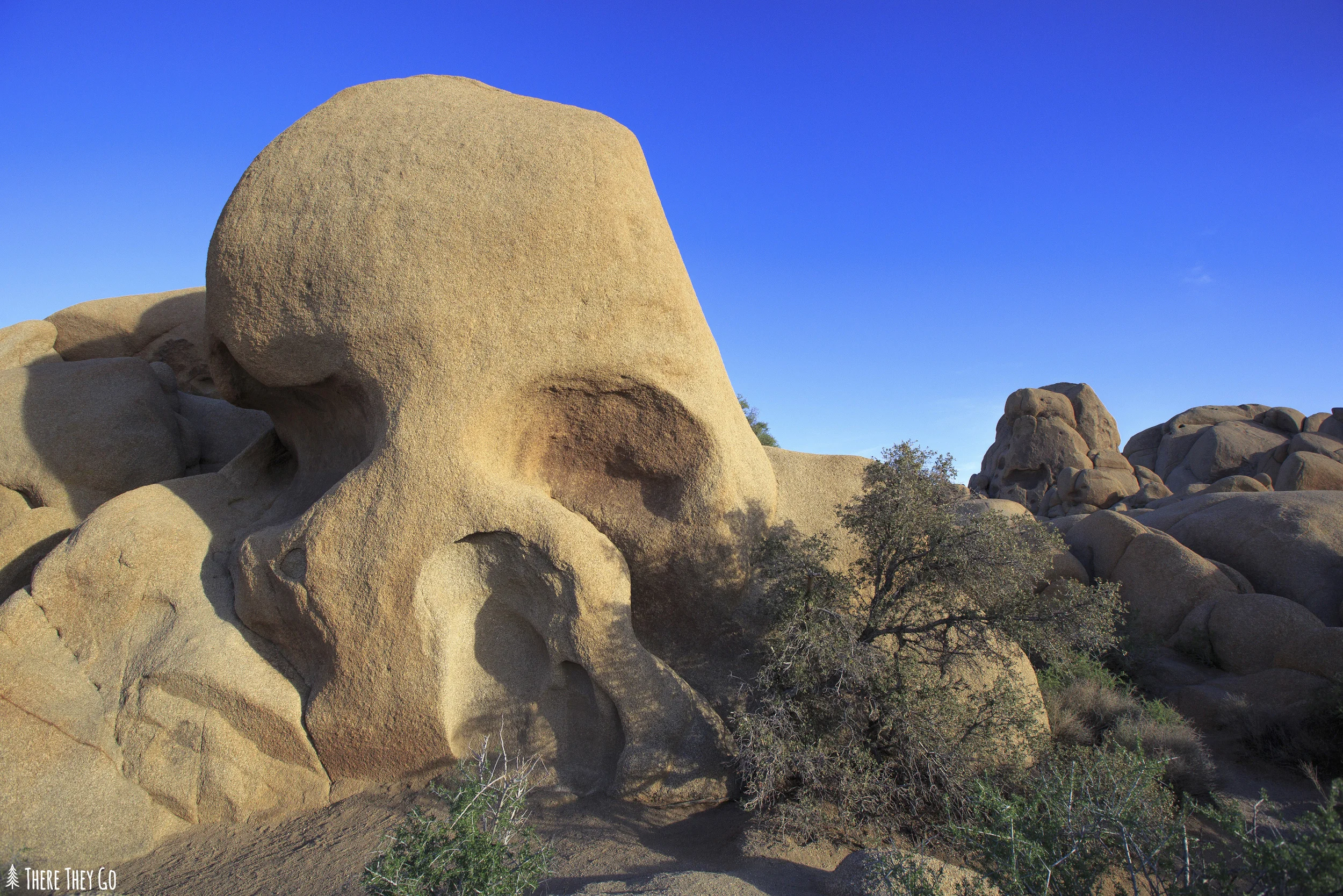 Skull rock, a popular destination in the park is located along the main east-west park road. Its clearly visible from the road with posted signs and more than likely tourists packed along the side of the street. Photo tip: Waiting until about 1 1/2 hours before sunset offers a very soft, warm light hitting the rock.
