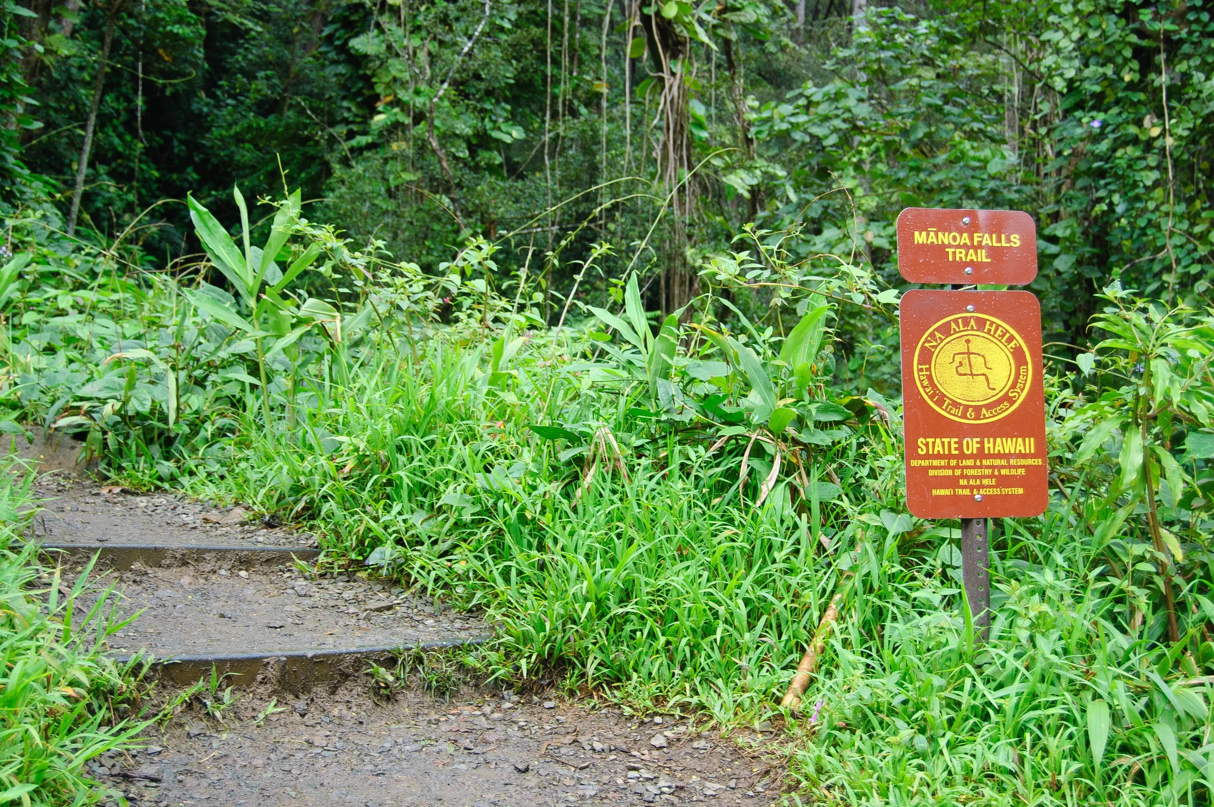ManoaFalls_Hawaii_Entrance
