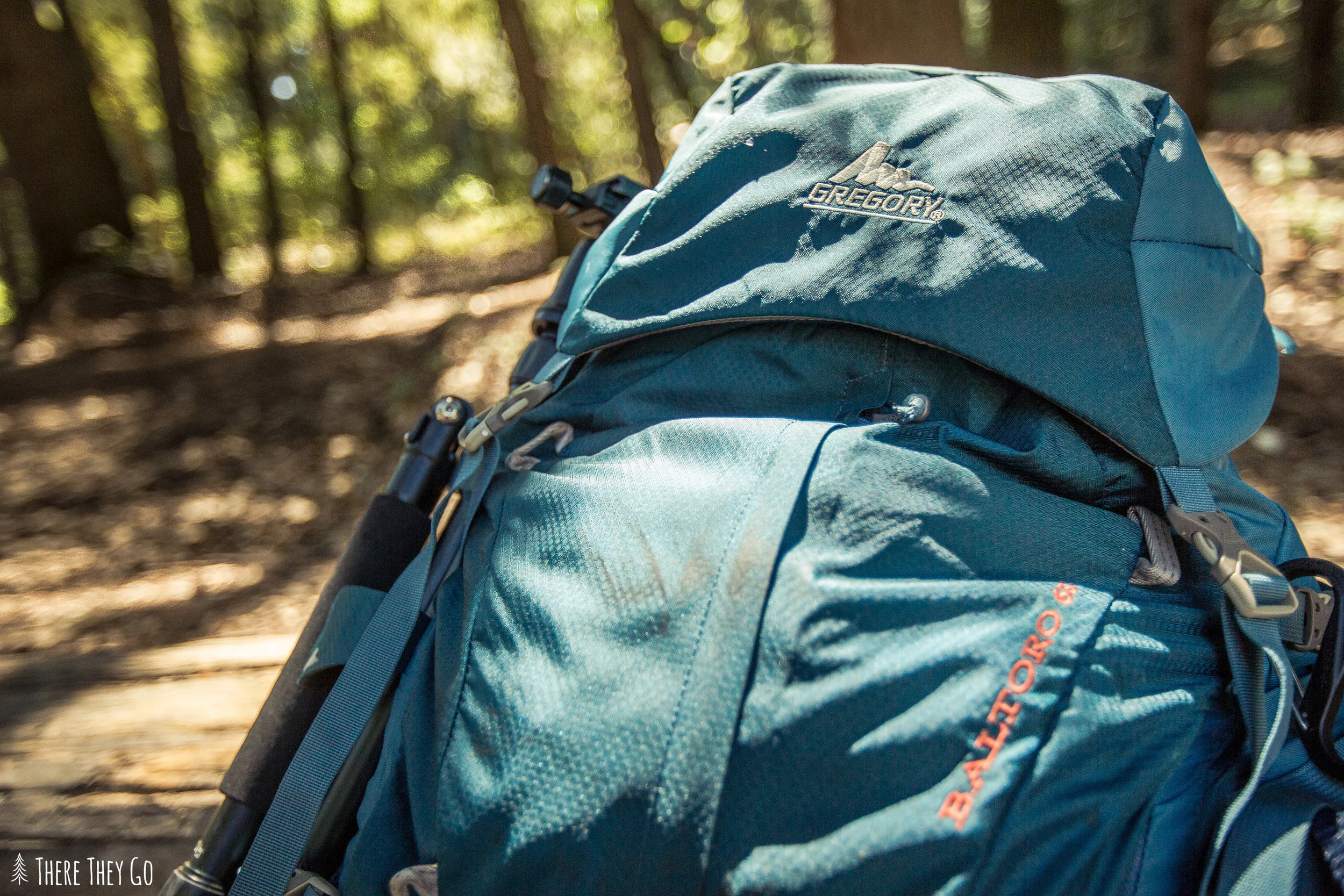 gregory deva et baltoro