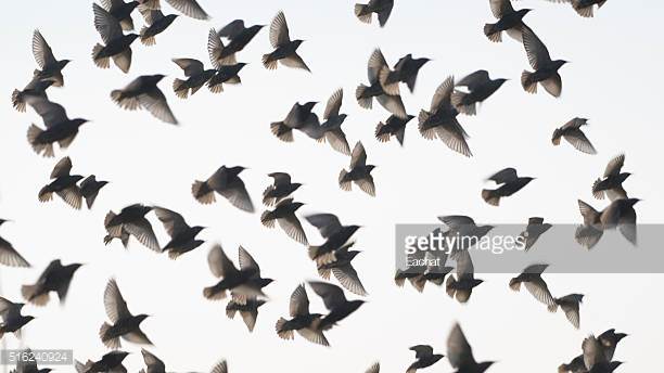 Photo by Eachat/iStock / Getty Images