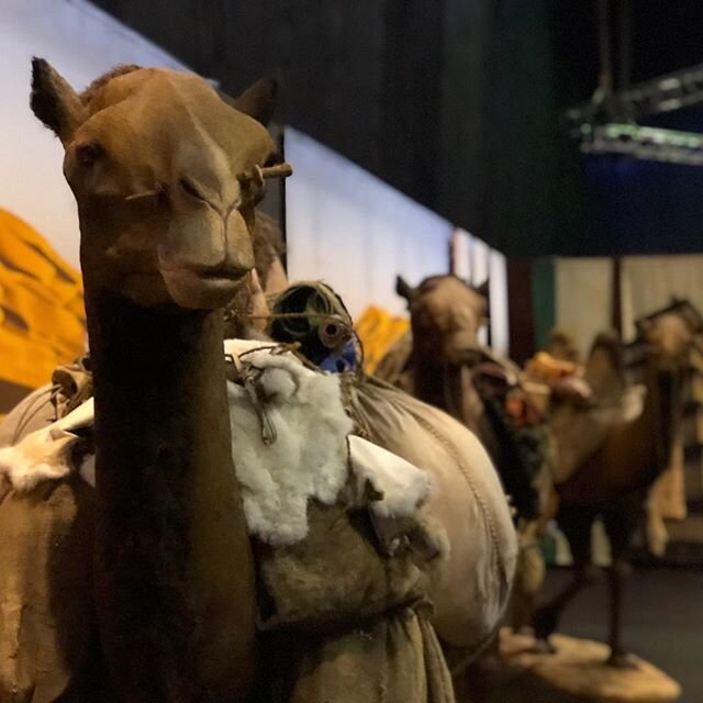 From the Sharjah Children&rsquo;s Reading Festival.