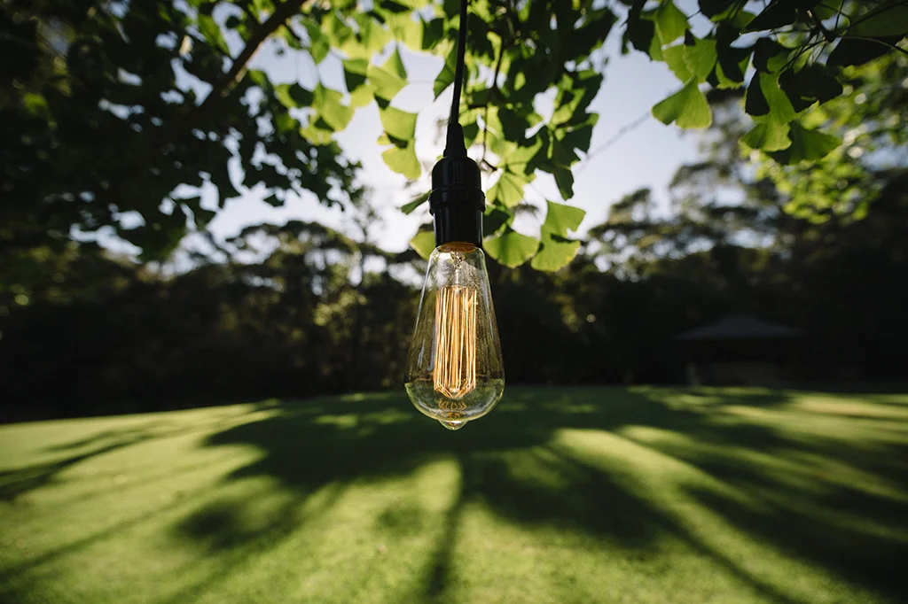 edison-light-2.jpg