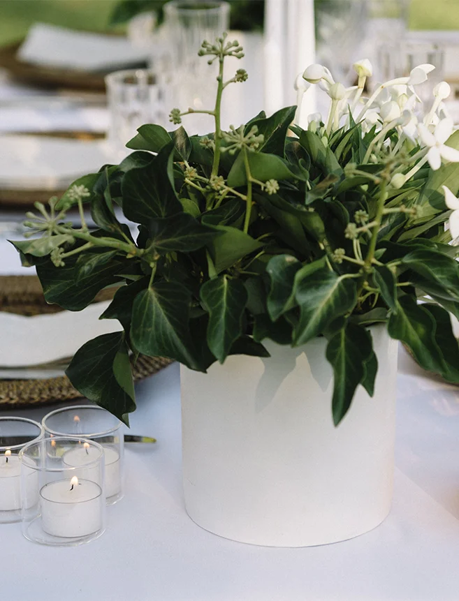 cylinder-vase-white-1.jpg