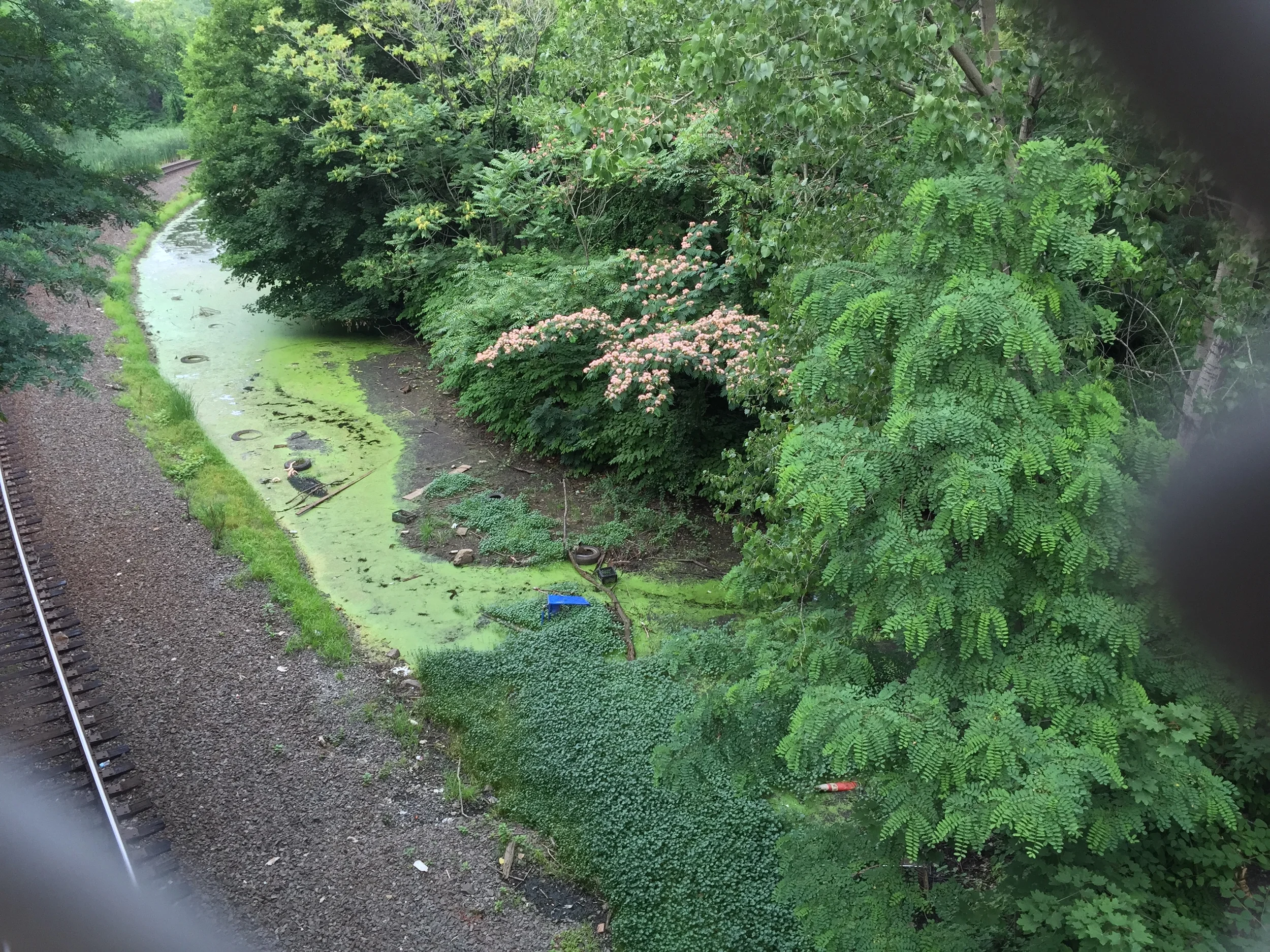 02.01   lazarillo.JPG