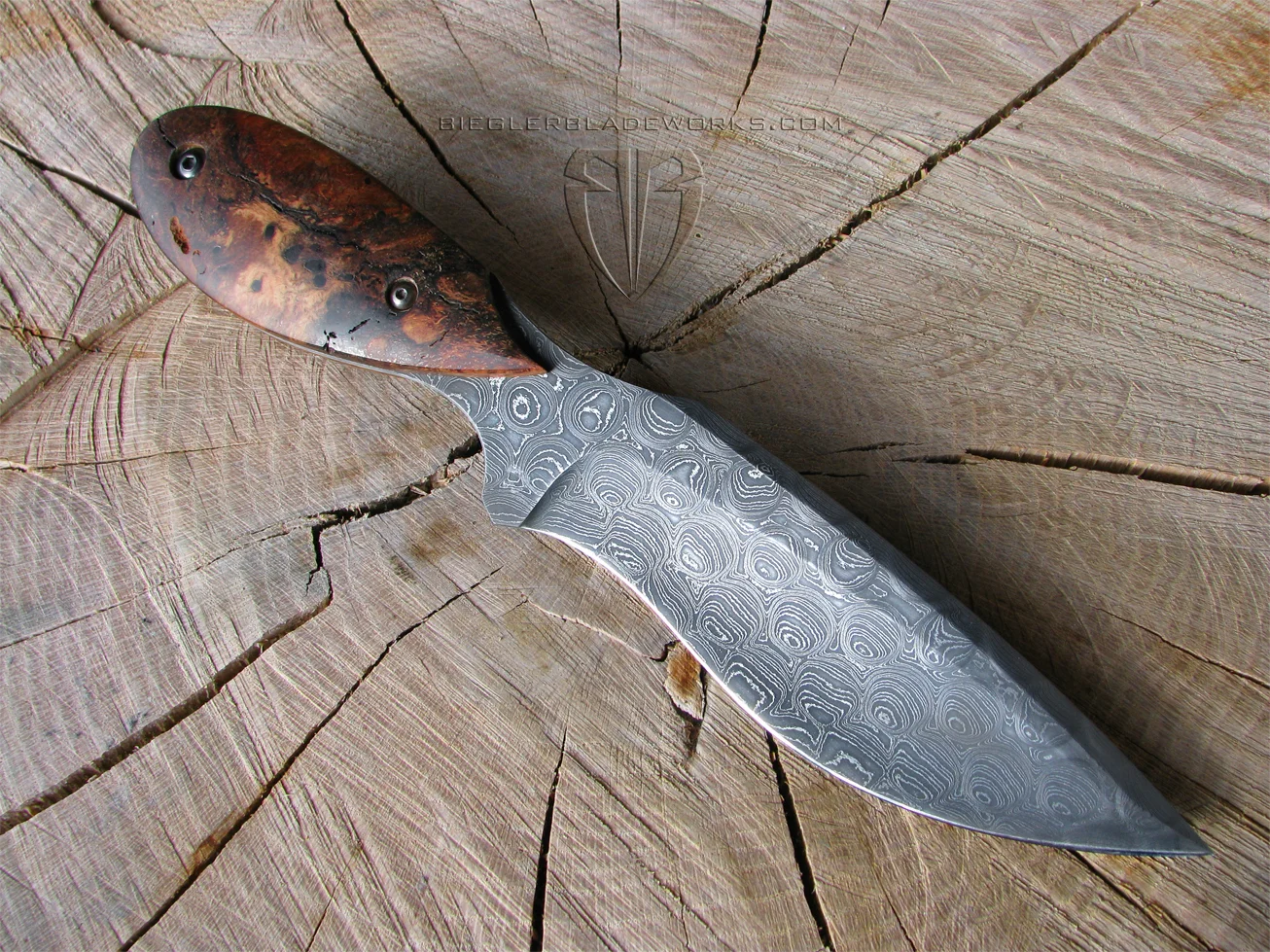 Custom Caprica Six