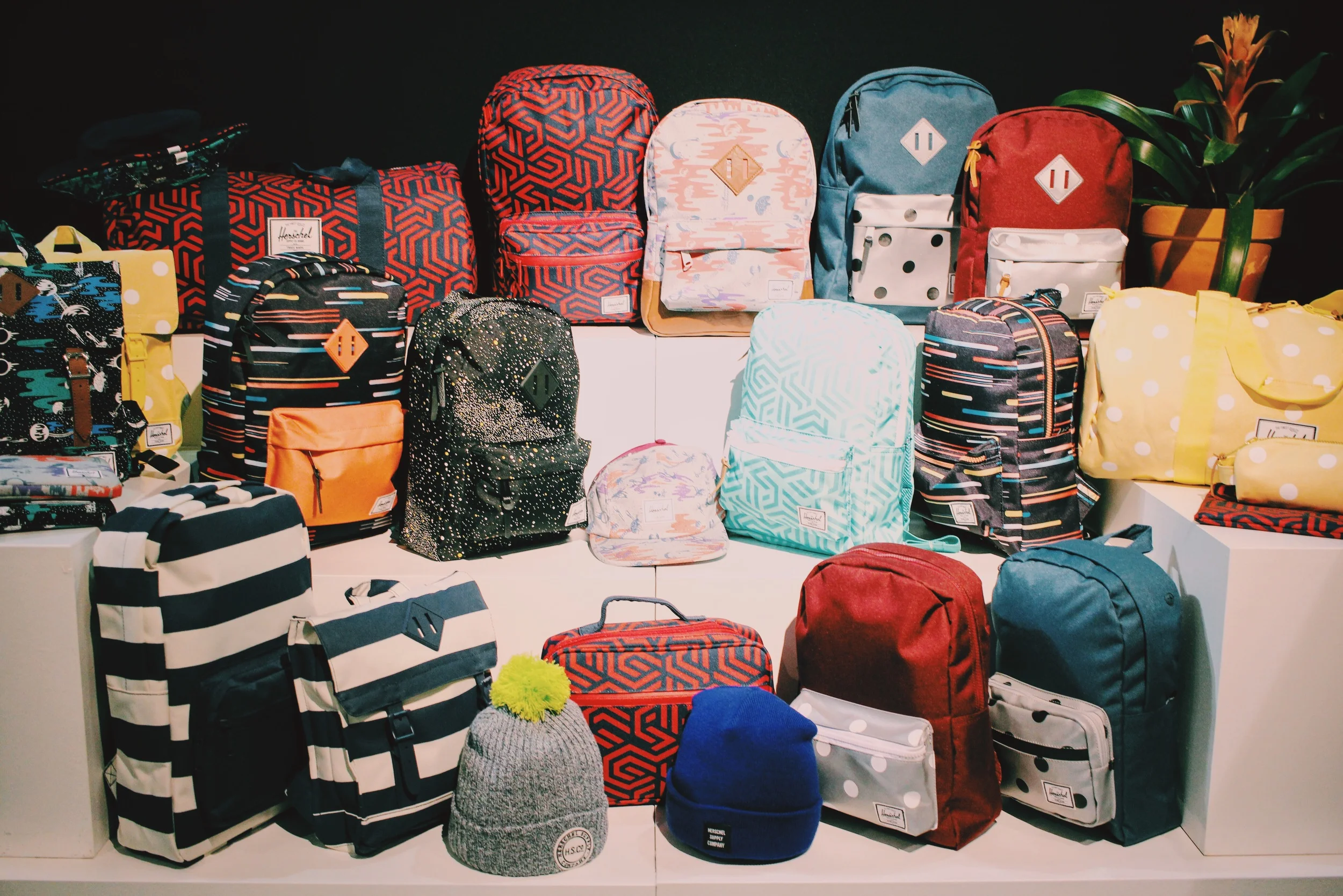 Photo Jan 18, 12 05 41 AM.jpg