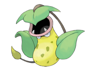 Meet my familiar for plant cultivation, Victreebel. The only Pokemon I've ever caught or tried to catch. Interesting botanical hybrid to result in fangs on the peristome.