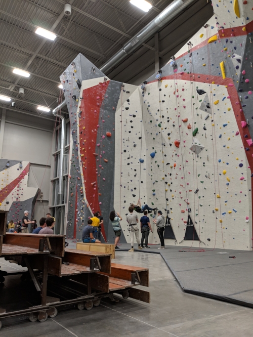 If the wooden benches in my sixth grade gym had faced a climbing wall instead of wrestling mats, I may have pursued a very different athletic pathway.