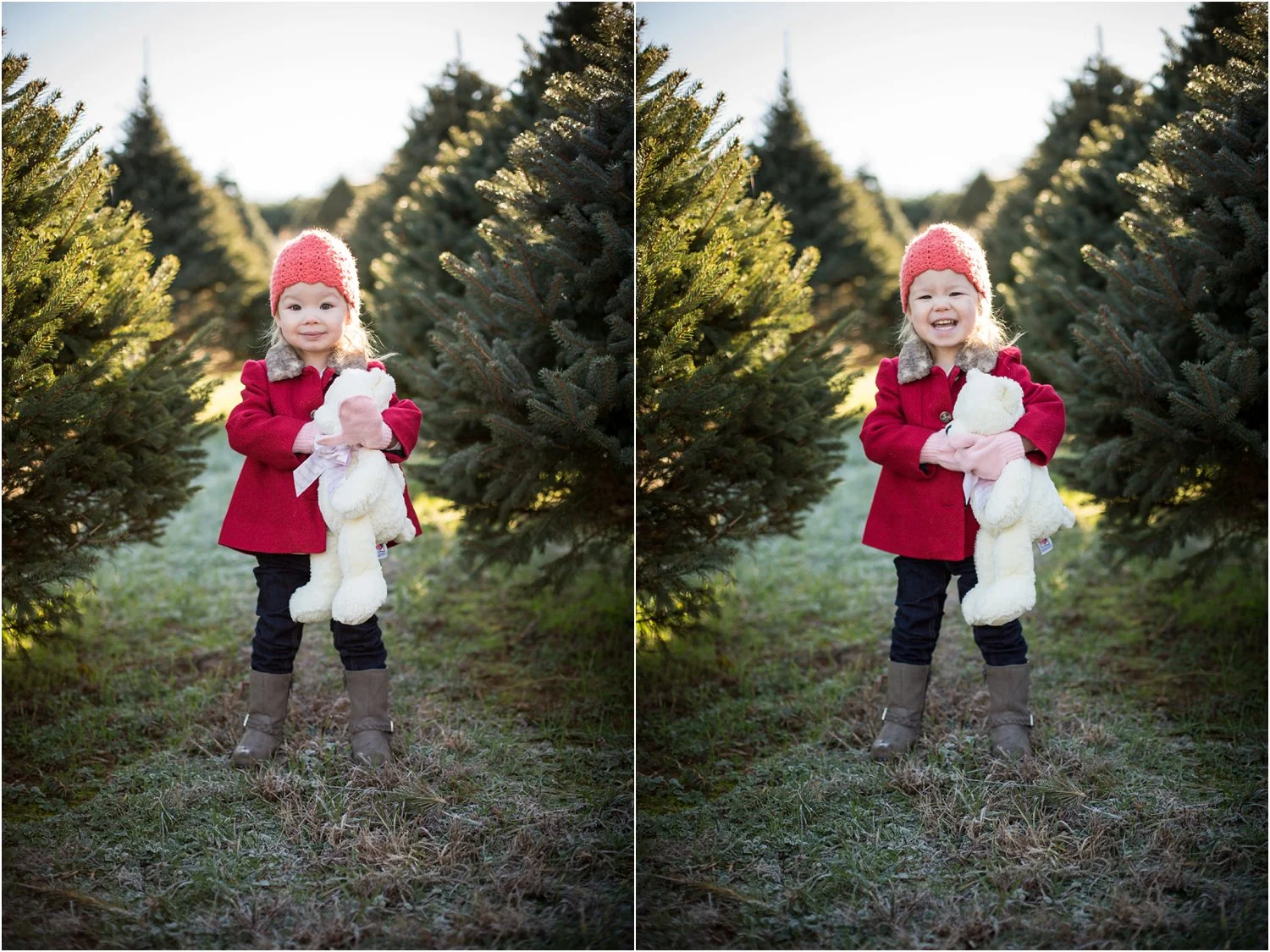 Moose_Apple_Chrismas_Tree_Farm_Family_Portraits_0004.jpg