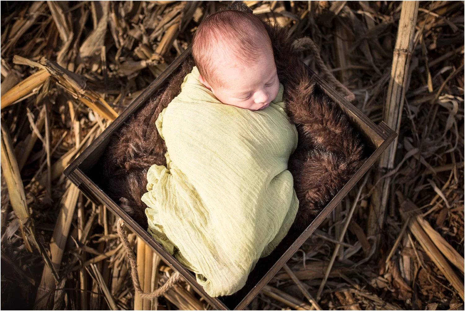 Garcia_Newborn_Harrisonburg_VA_Photography_0010.jpg