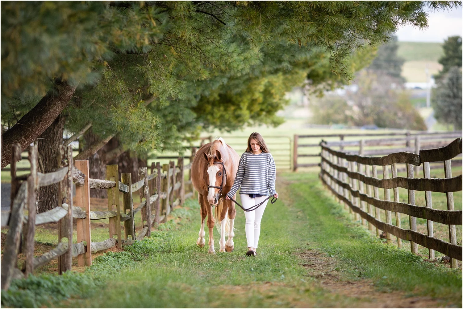 Showalter_Senior_Photography_Harrisonburg_VA_0027.jpg