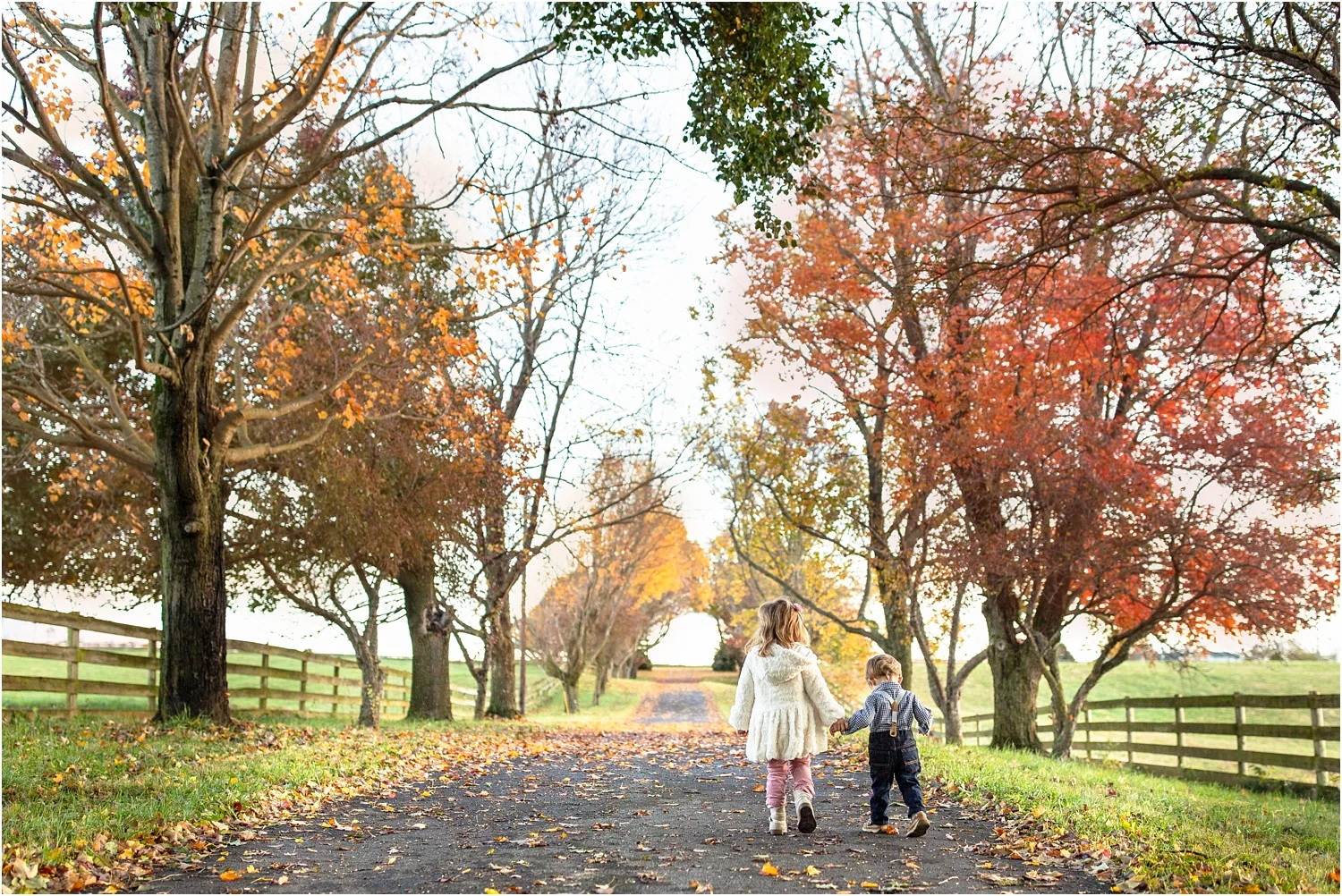 Chico_Family_Photography_Harrisonburg_VA_0008.jpg