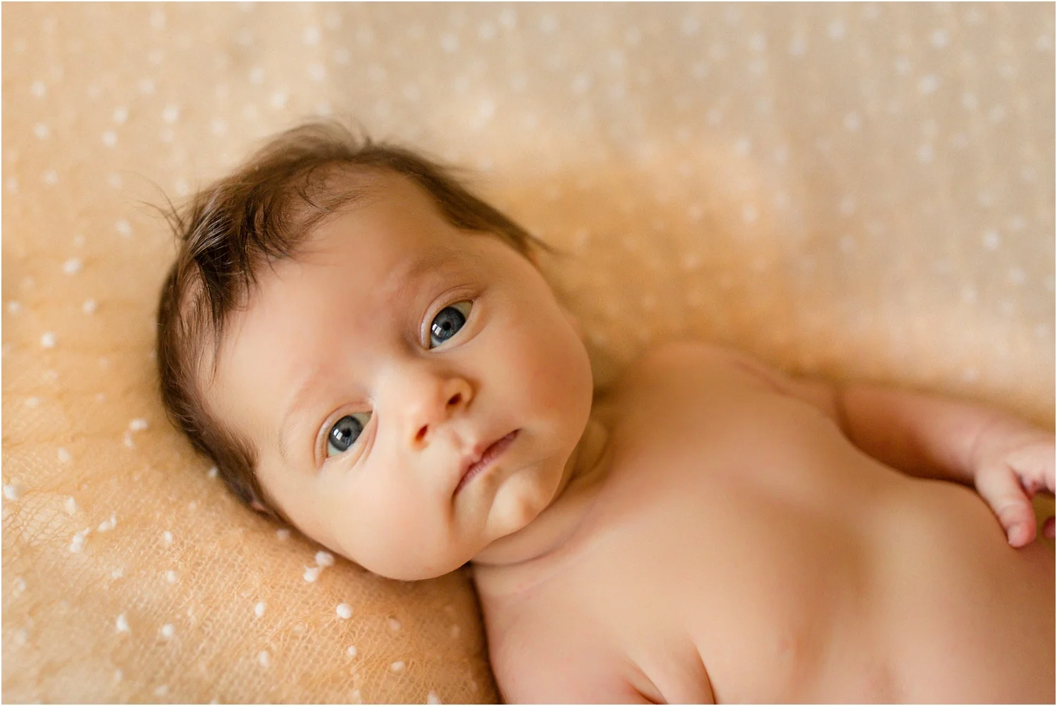 Bucher_Family_Photography_Harrisonburg_VA_0001.jpg