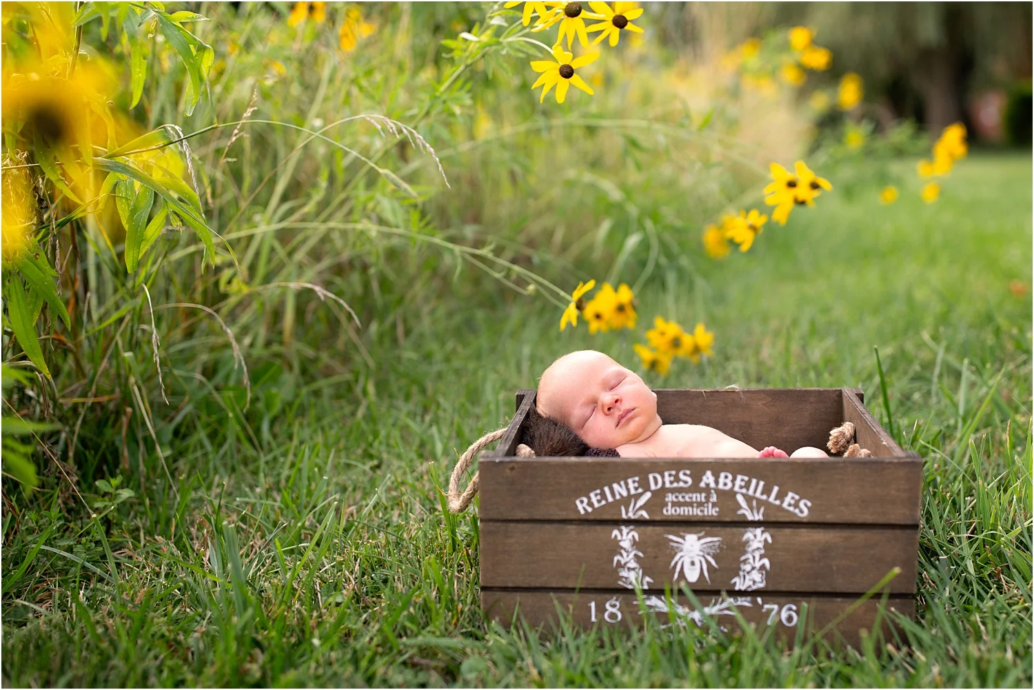 Domingus_Family_Photography_Harrisonburg_VA_0041.jpg