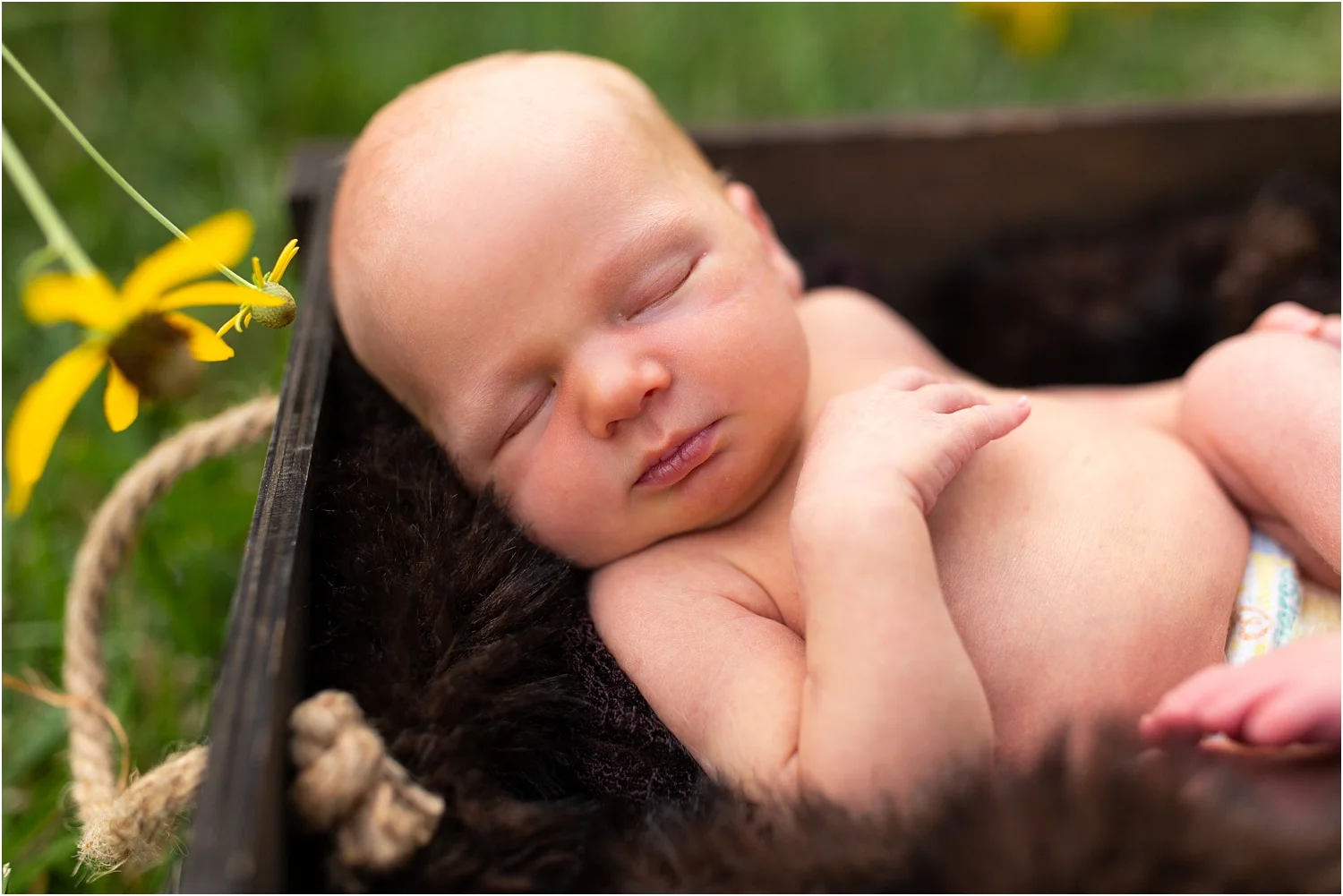 Domingus_Family_Photography_Harrisonburg_VA_0043.jpg