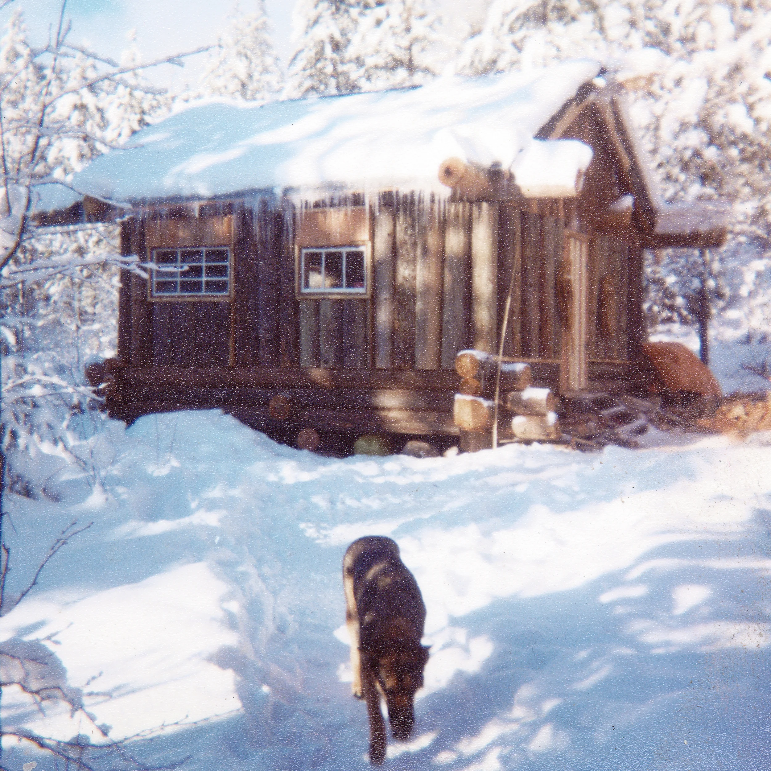 Kaden Cabin - December. 1978