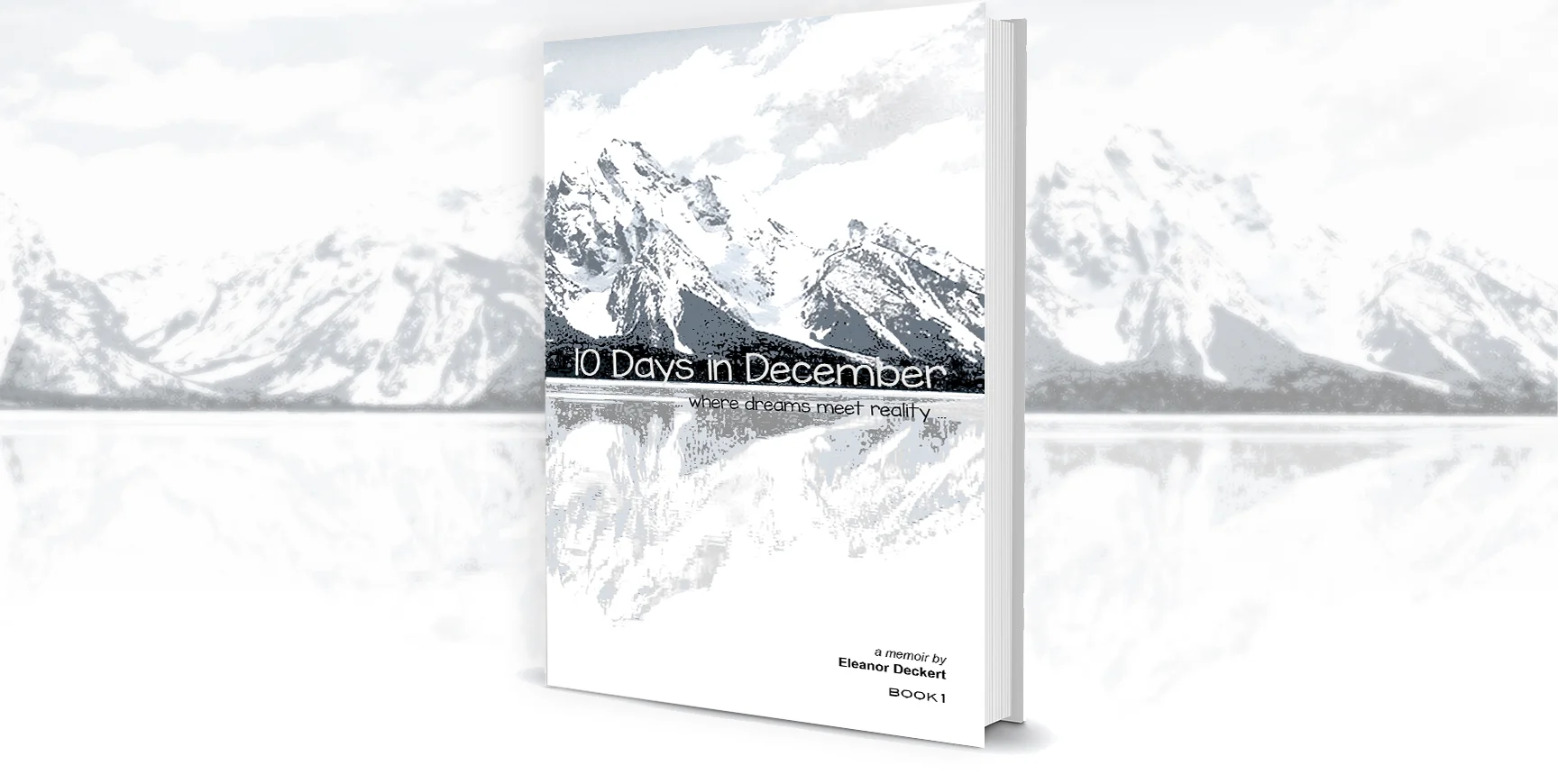 Book Cover_Website2.jpg