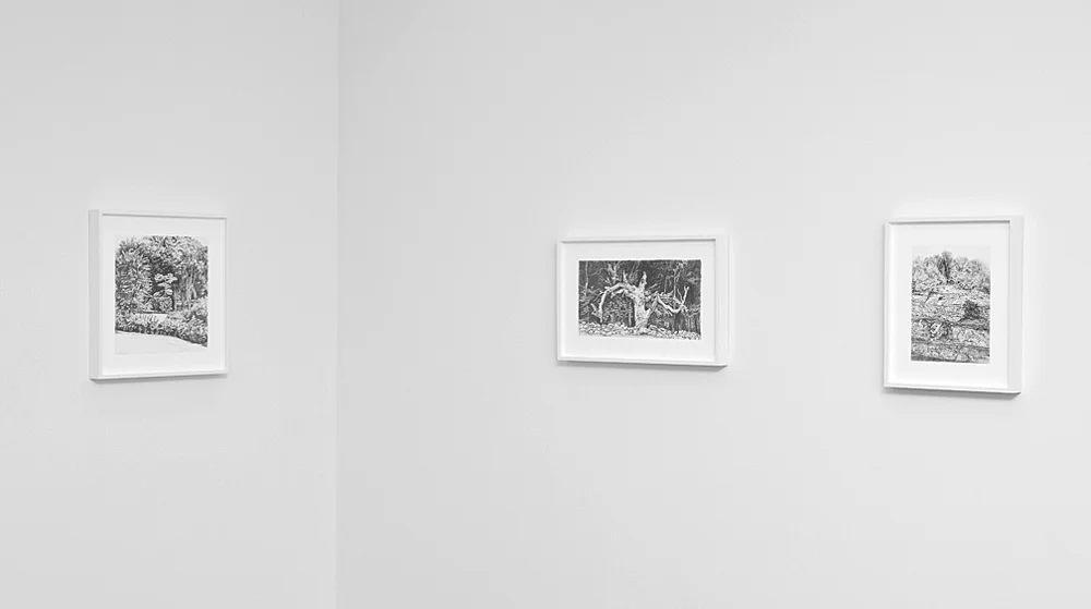 Installation view
