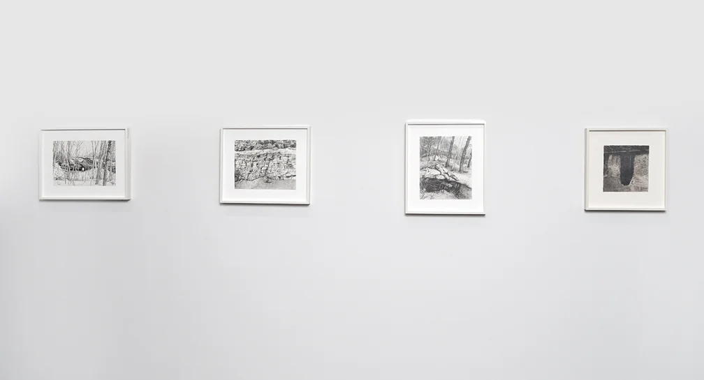 Installation view