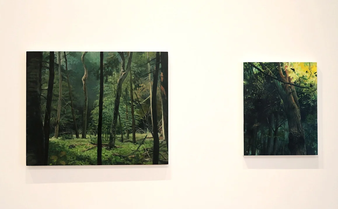 Installation view