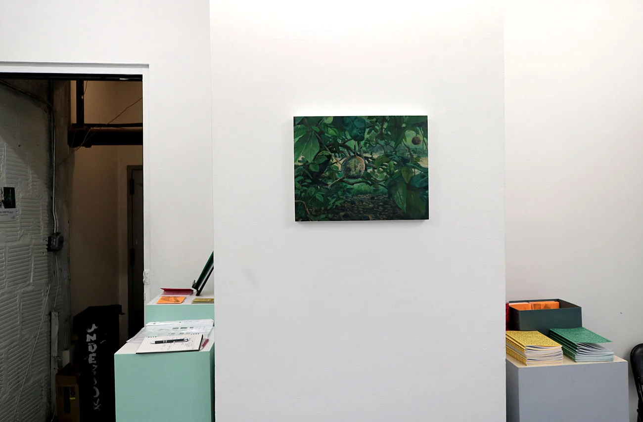 Installation view