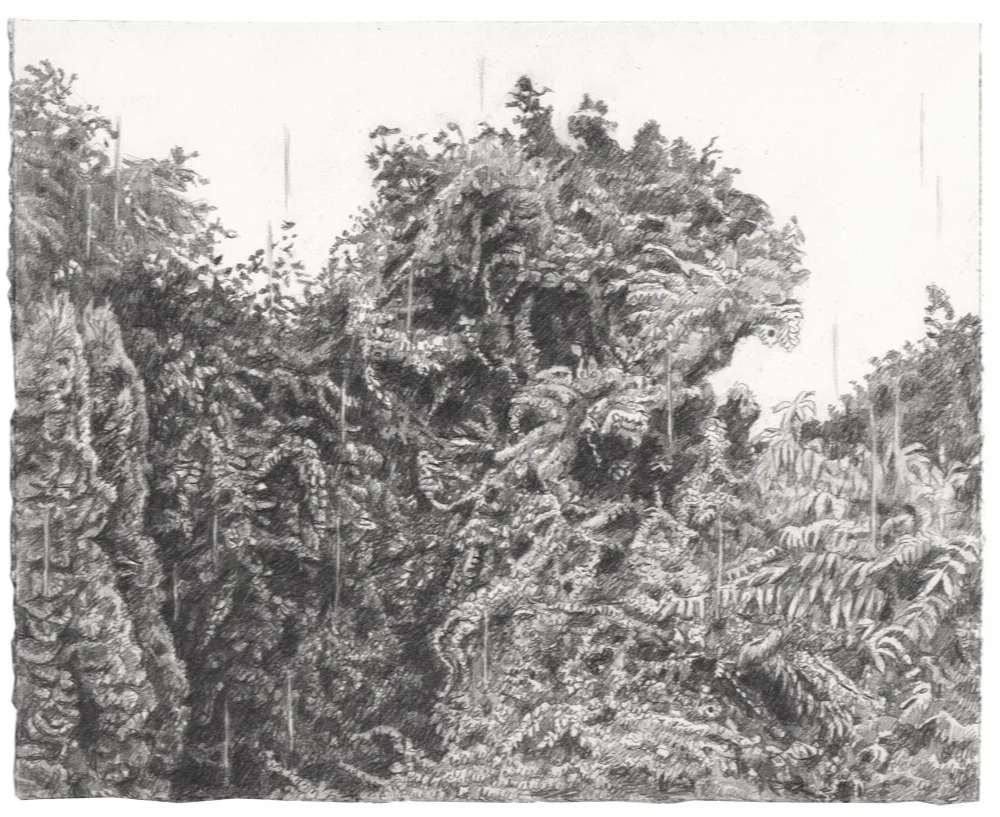 "Rain over Vine-covered Trees"