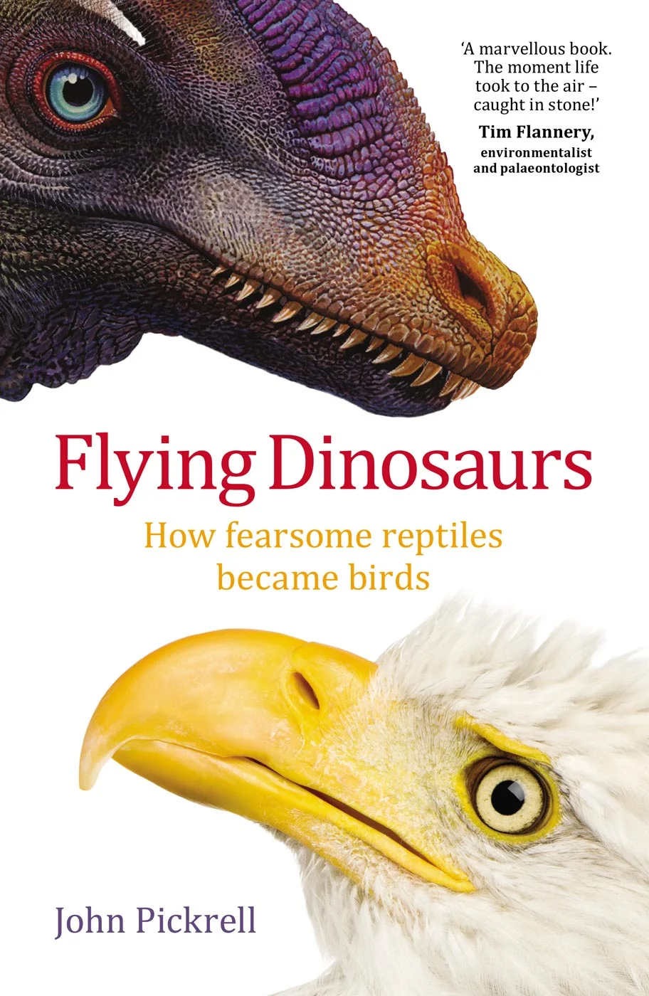 NEW036_Flying_Dinosaurs_Cover_AW_R.jpg