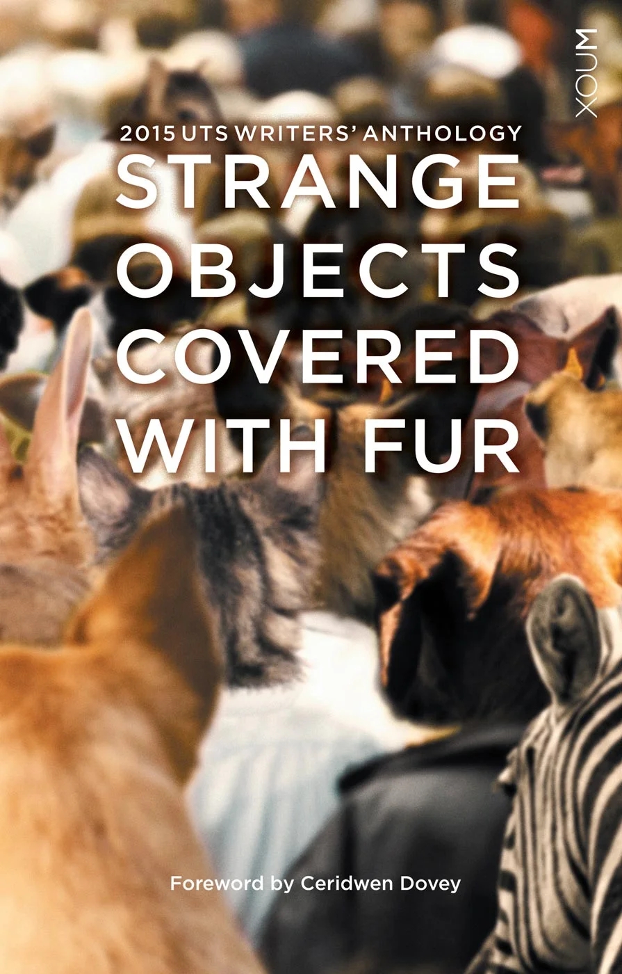 2015-UTSAnth-StrangeObjects-FC.jpg
