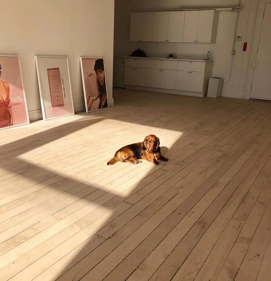 The Official SHHHOWERCAP. The Shower Cap Reinvented.®