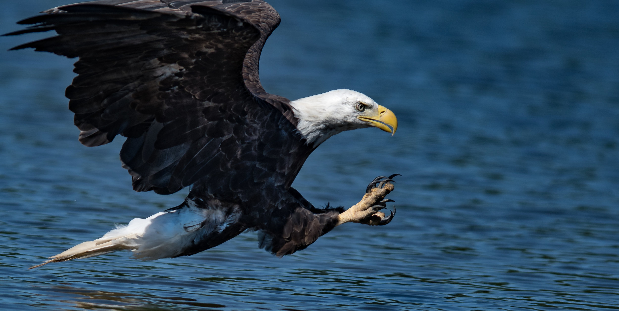 DSC_4505-1.jpg