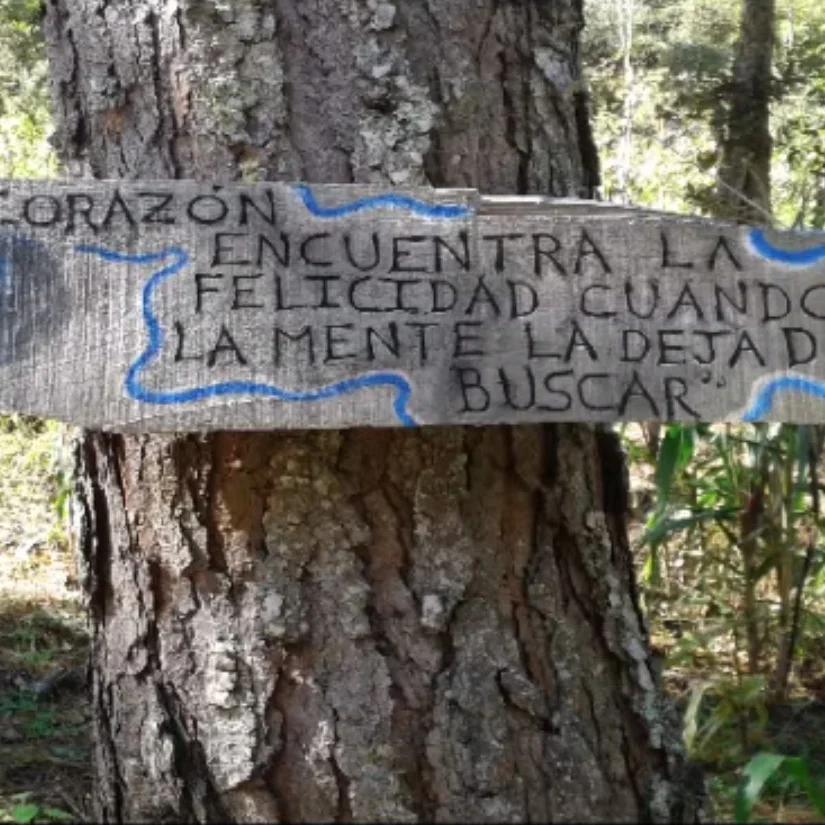 Taller en la Montaña con Don Lauro de la Cruz