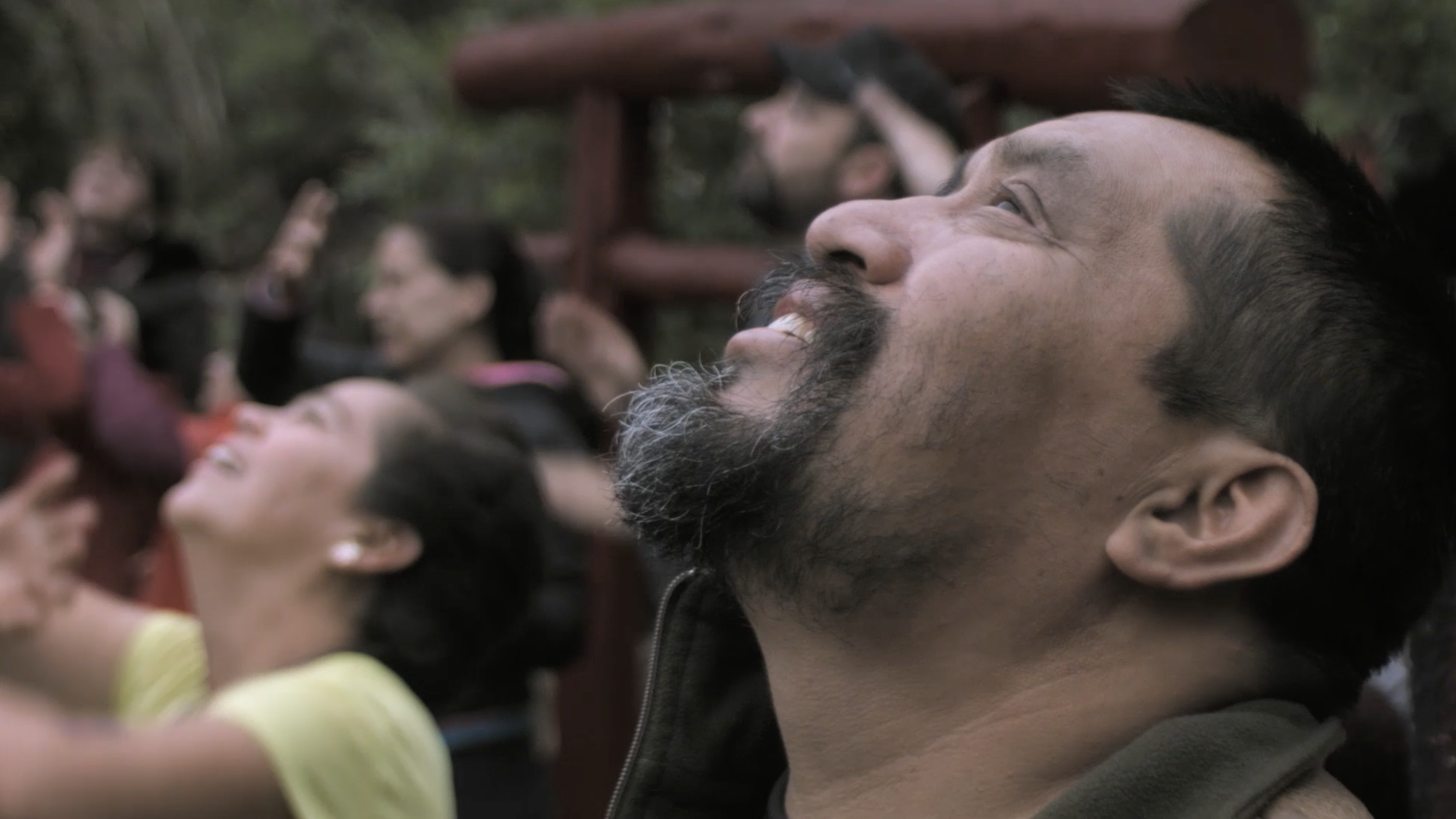 Perfil Don.png