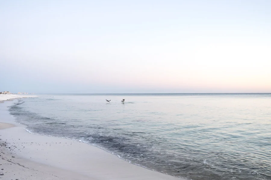 AlysBeach_30A by KatHersheyphtoography_KatherineHersheyPhotography_kathersheyphotography-51.jpg