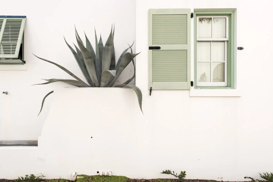 AlysBeach_30A by KatHersheyphtoography_KatherineHersheyPhotography_kathersheyphotography-135.jpg