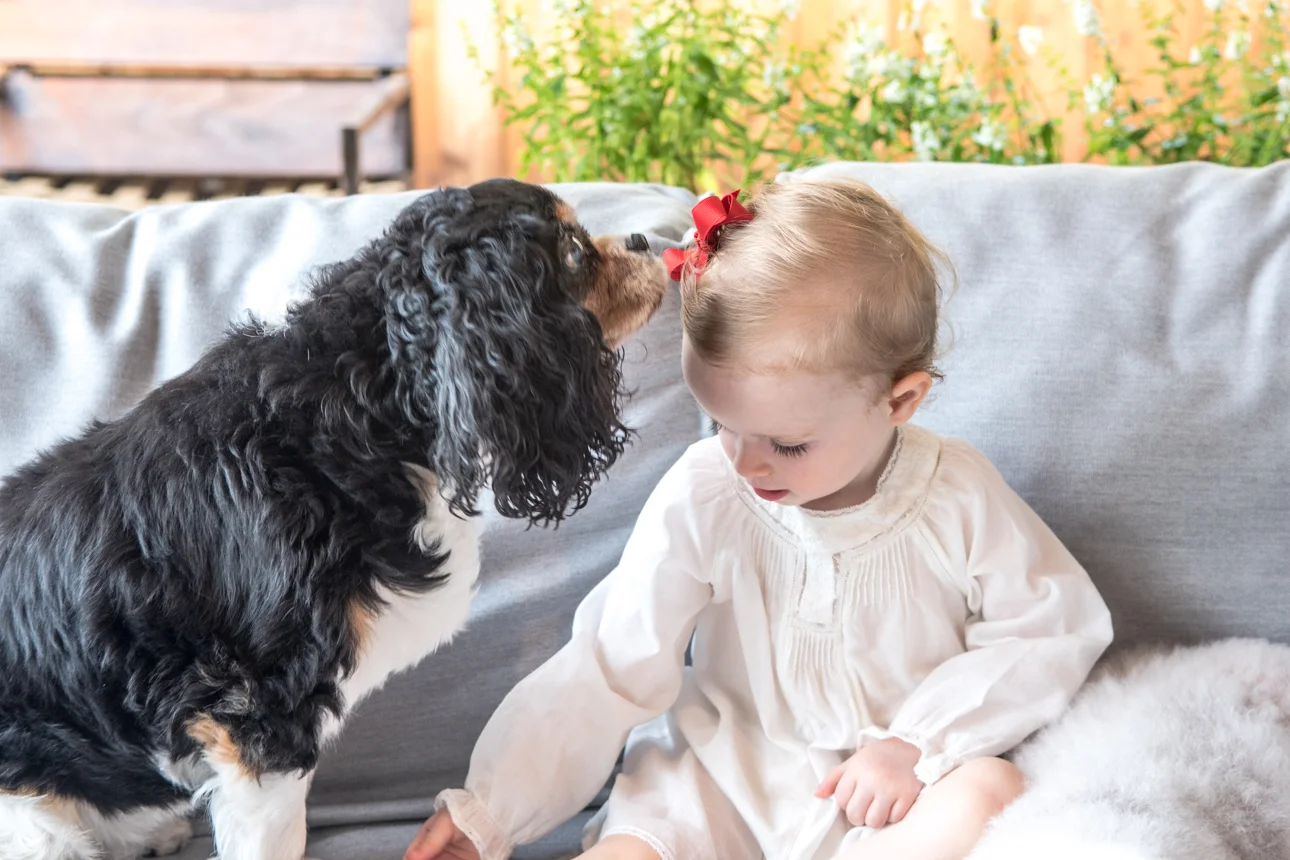 Kids Birthday Photographer_Dallas Childrens photographer_KatherineHersheyPhotography-2.jpg