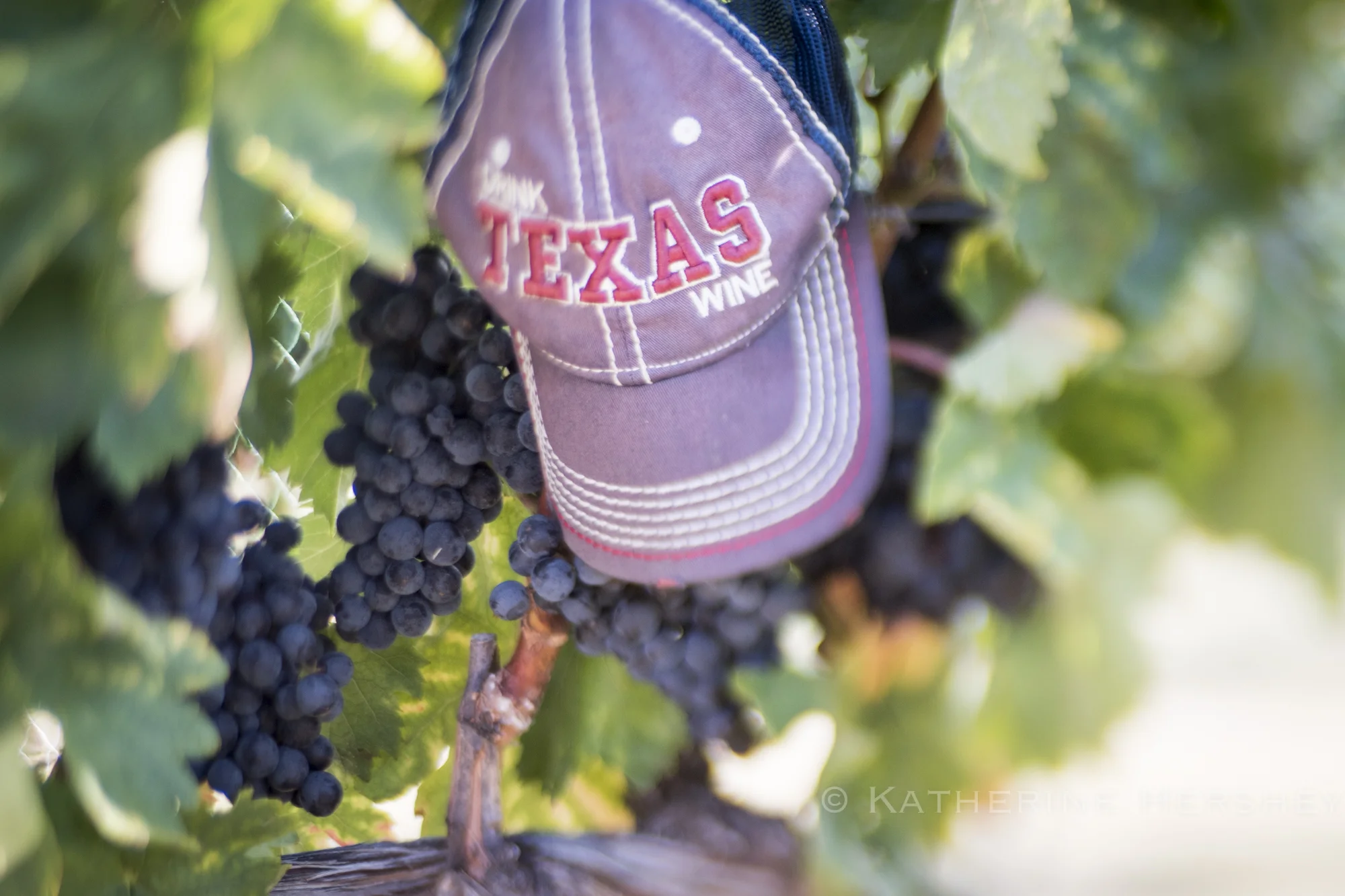 EdenHillWinery_TexasWine_by KatherineHersheyPhotography-18.jpg