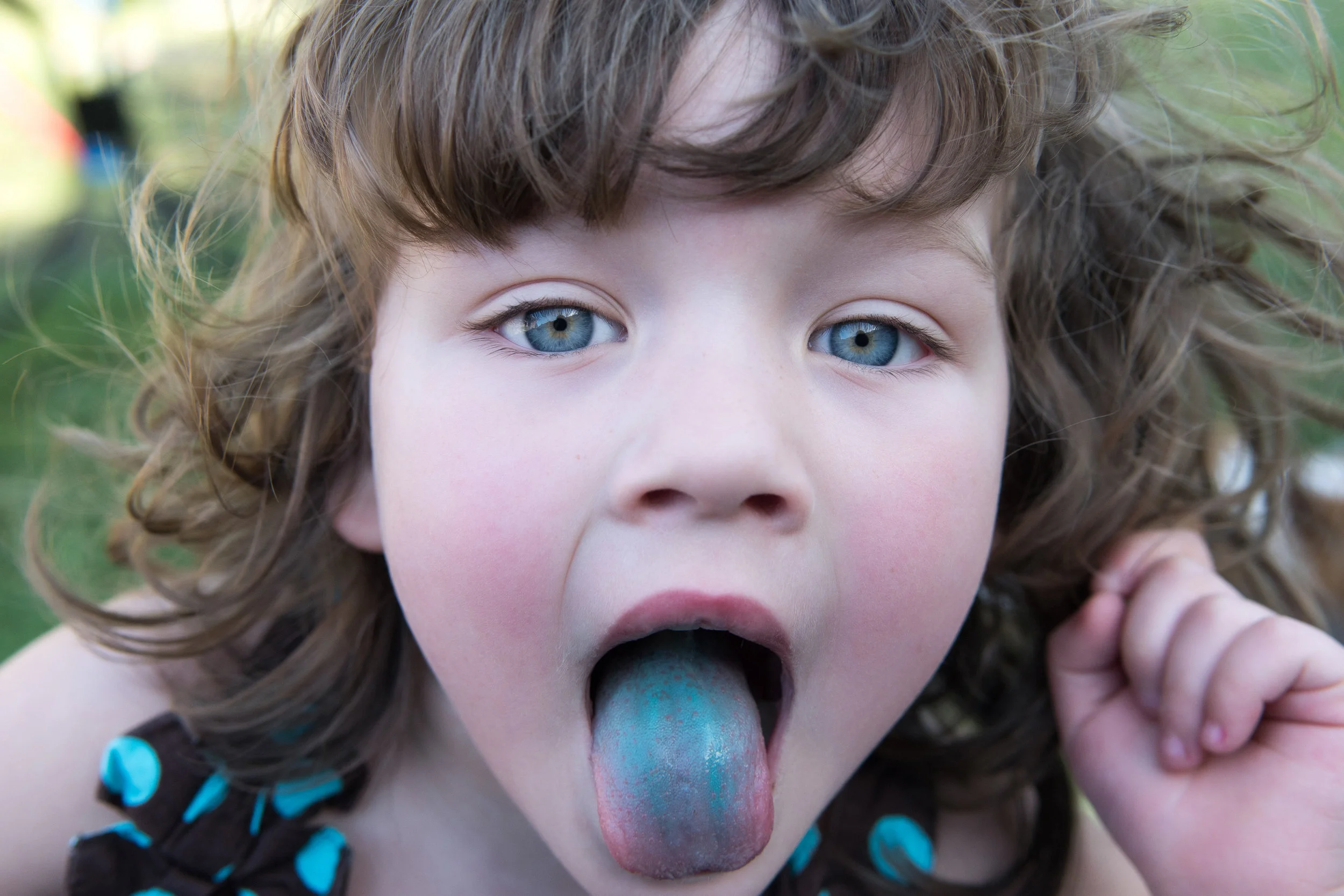 LivsBLUE TONGUEportr.jpg
